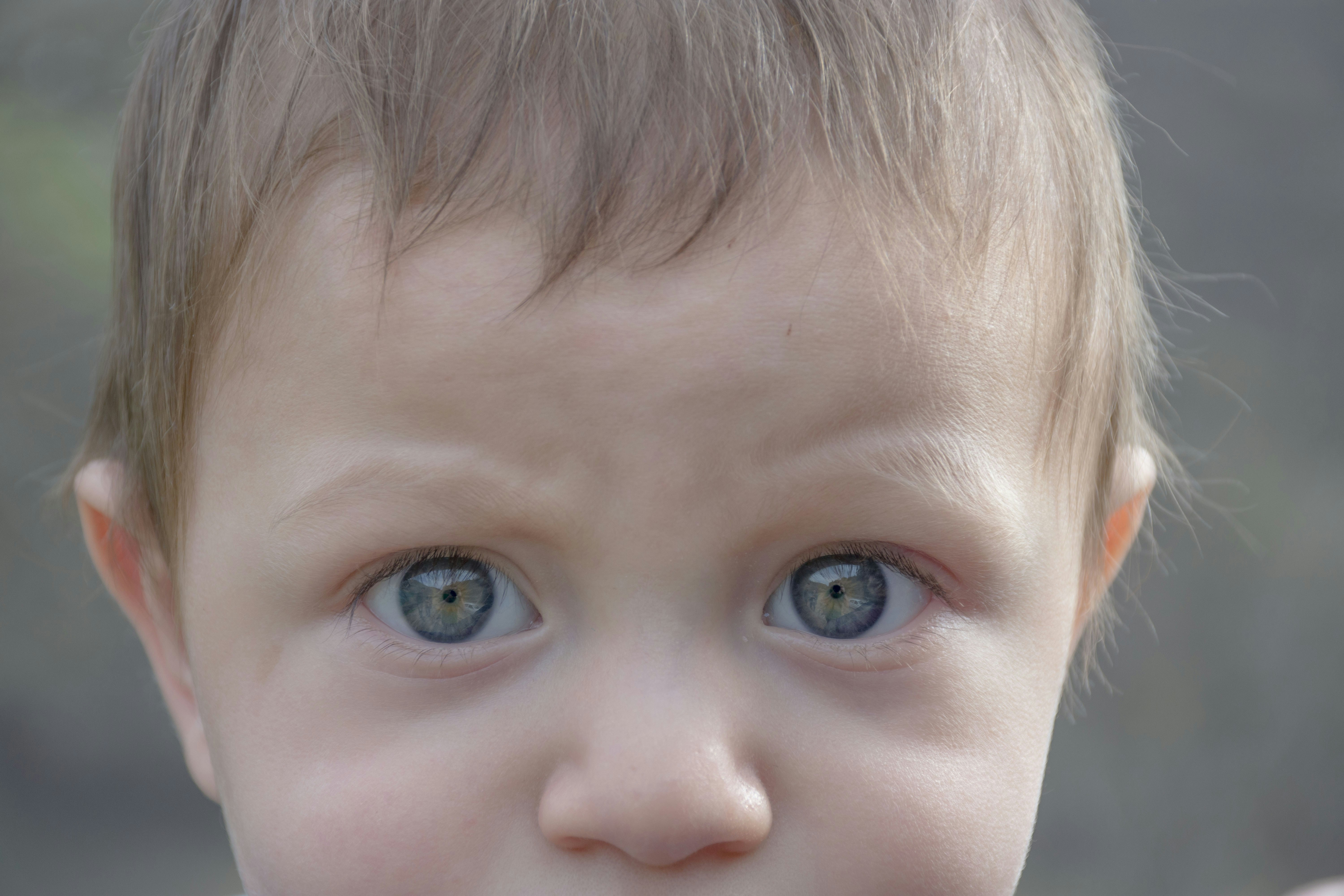 아이 얼굴 인식 능력과 시냅스 변화 3