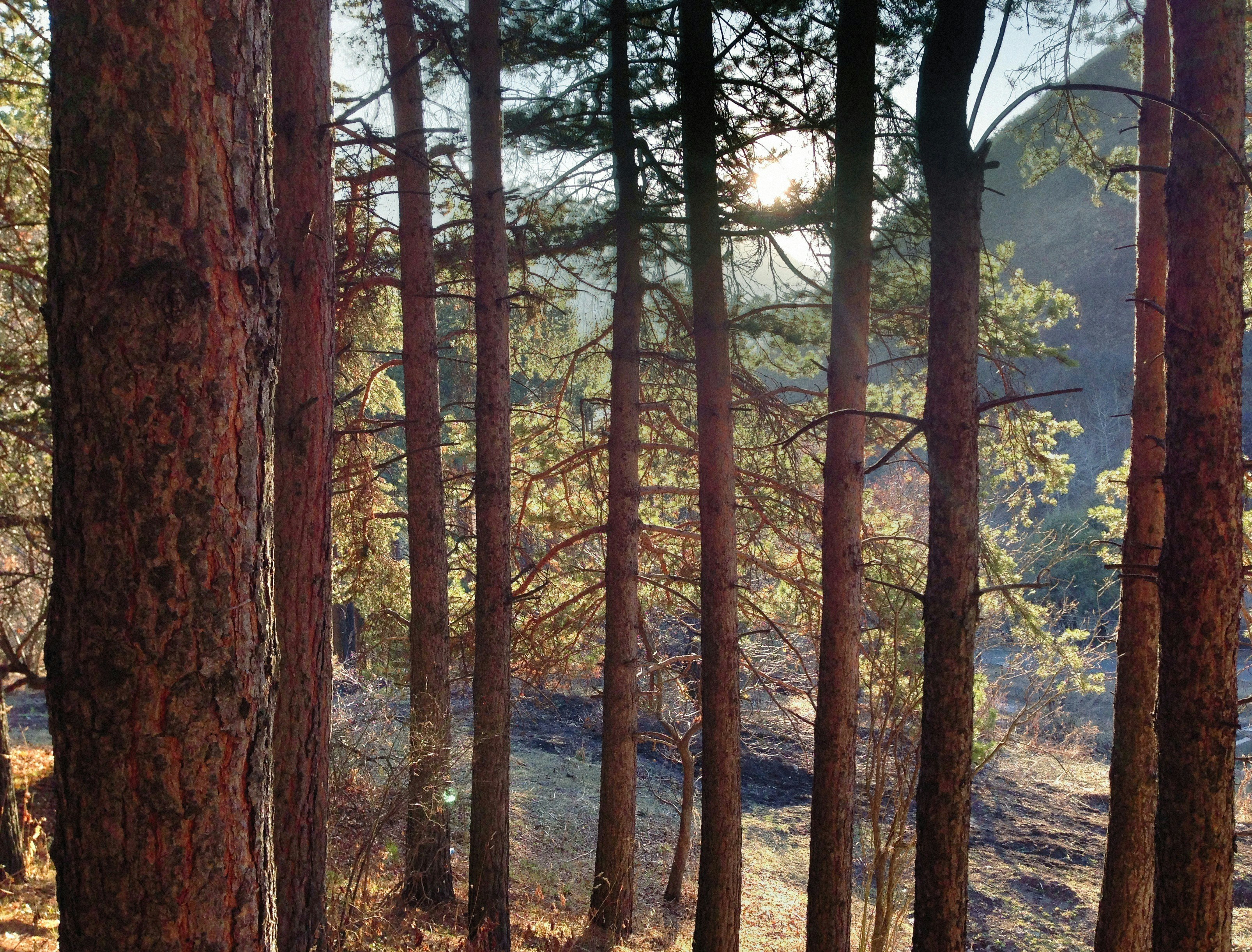 Photo by alexeydemidov