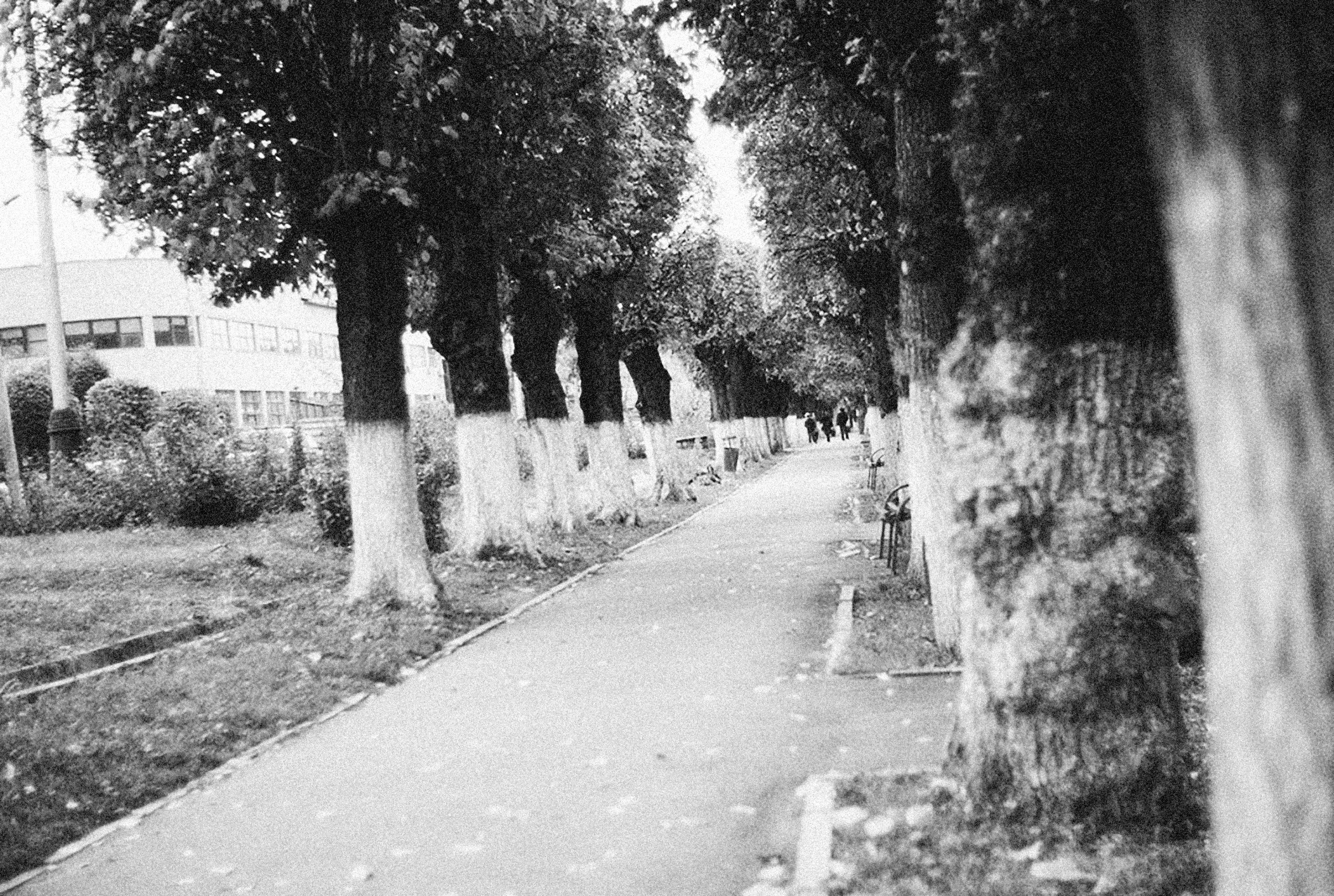 Photo by alexeydemidov