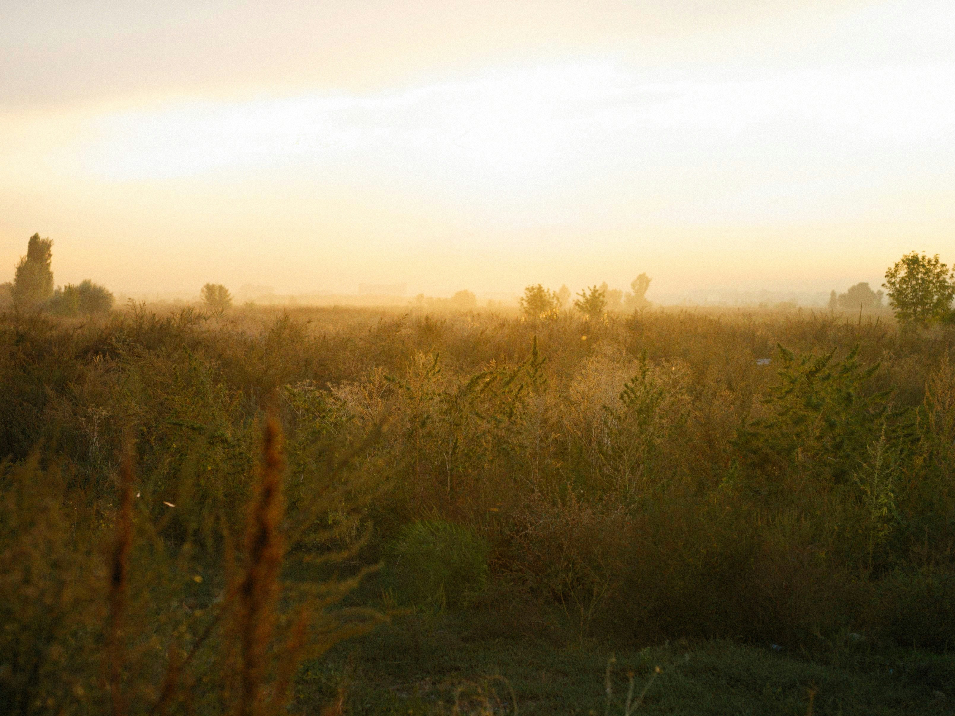 Photo by alexeydemidov