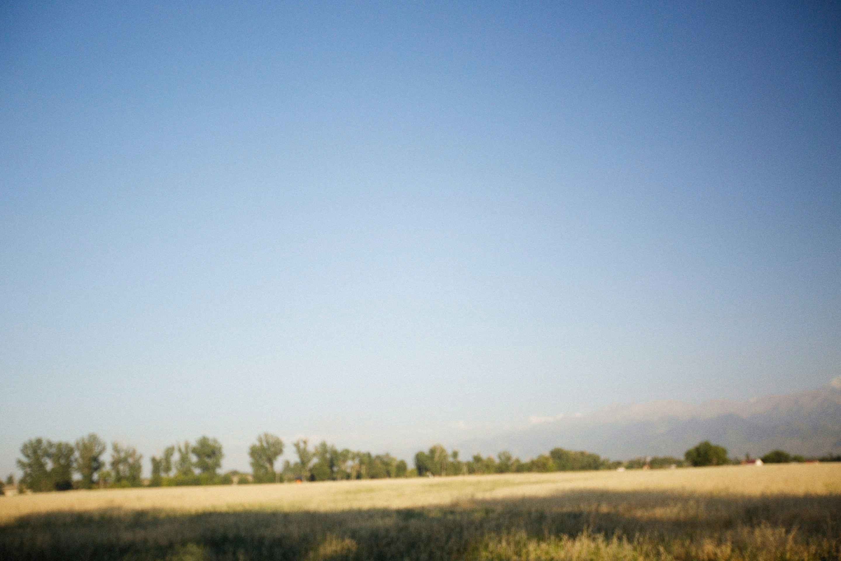 Photo by alexeydemidov