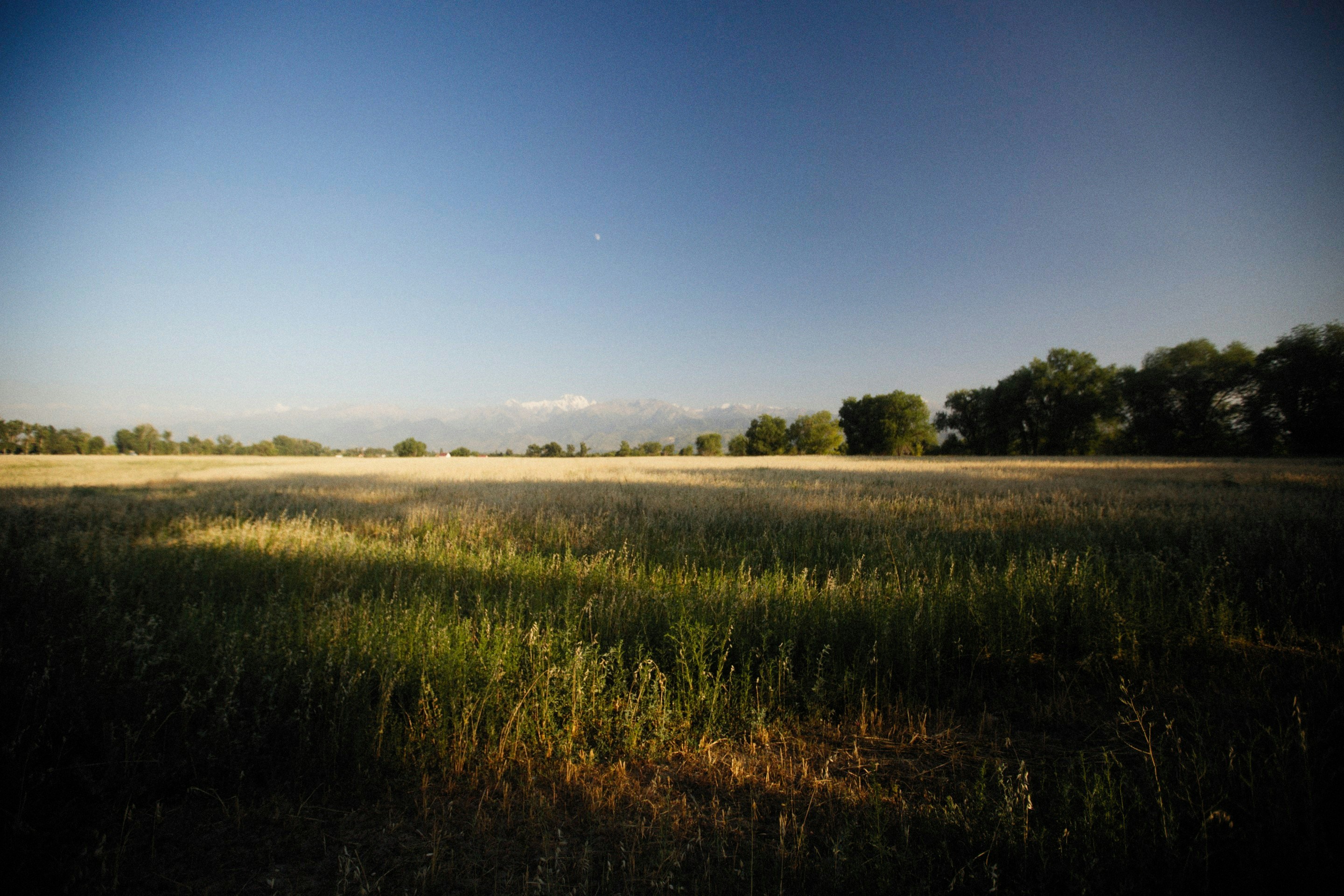 Photo by alexeydemidov