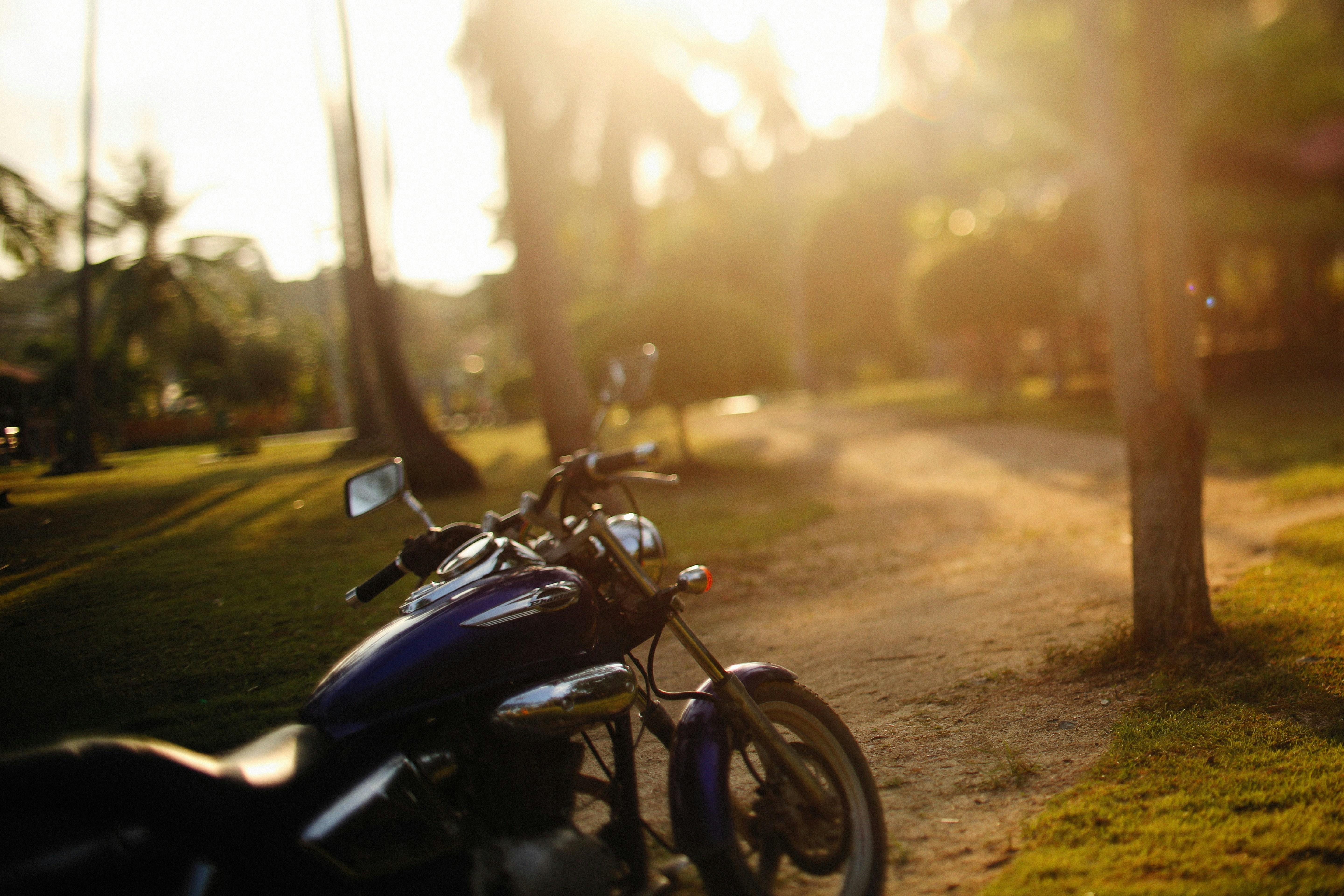 Photo by alexeydemidov