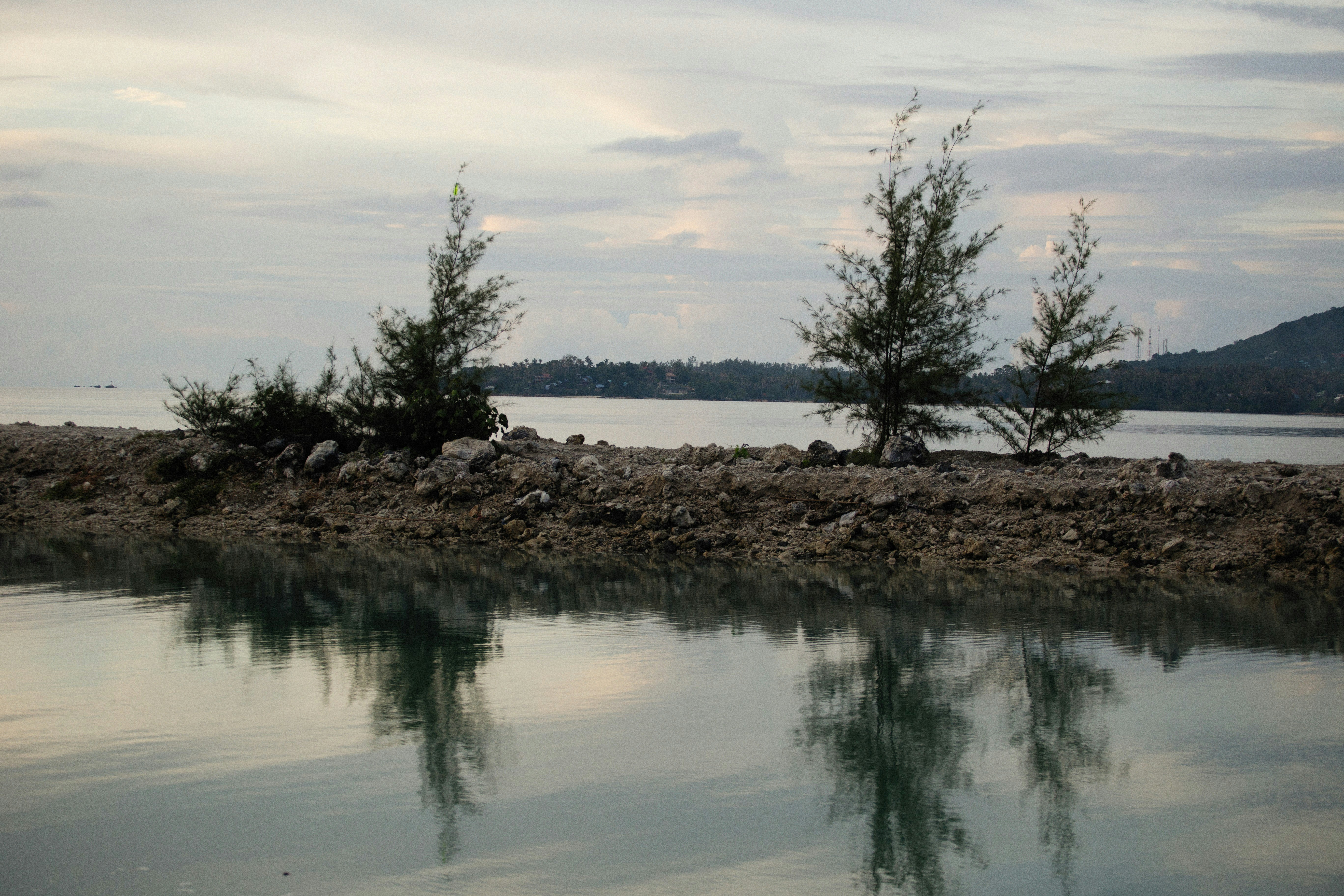 Photo by alexeydemidov