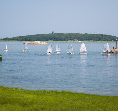 a group of sailboats in a body of water