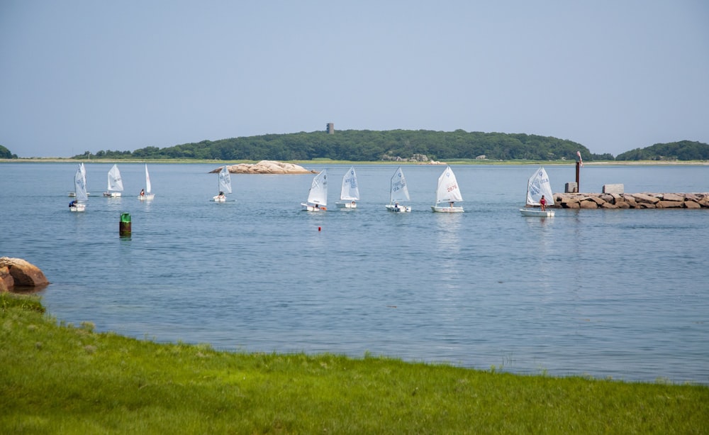 a group of sailboats in a body of water