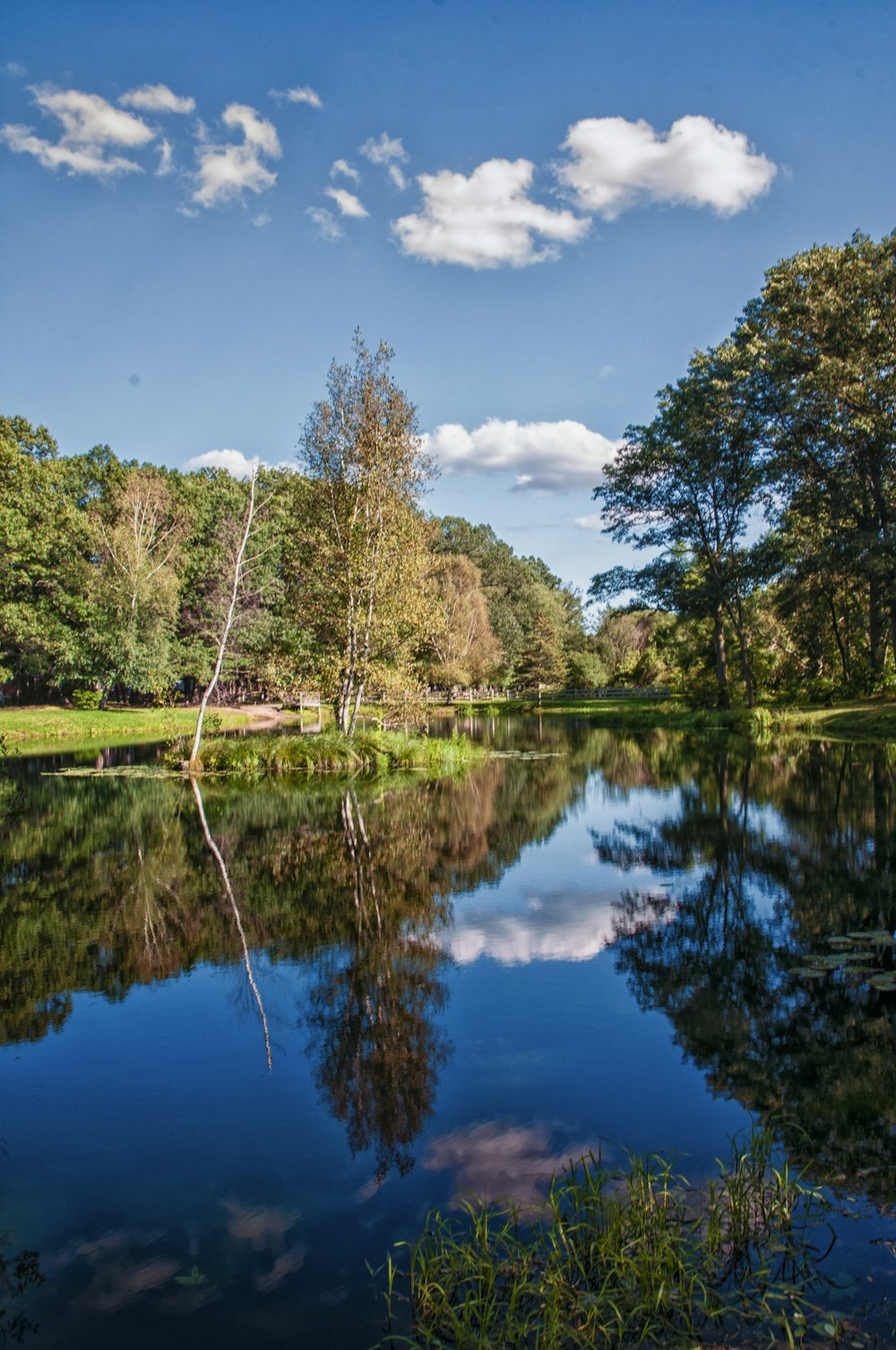 a body of water surrounded by trees and grass