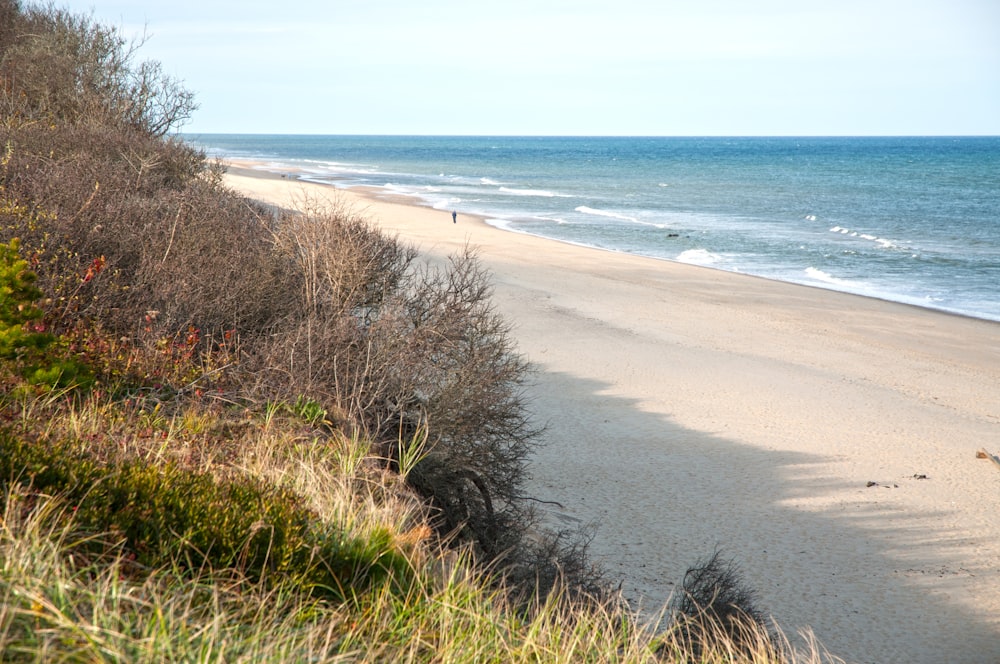 a view of a beach from a hill overlooking the ocean