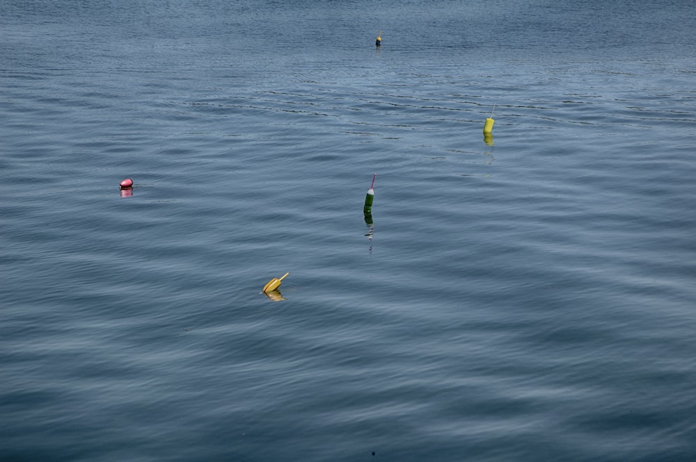 a body of water filled with lots of water