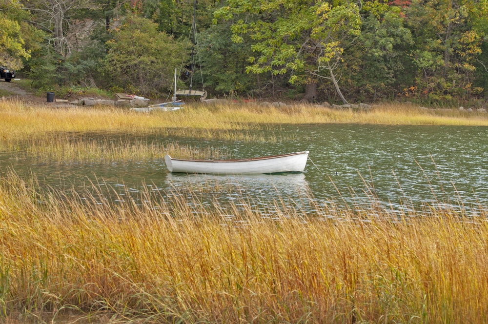 Una piccola barca bianca che galleggia sulla cima di un lago