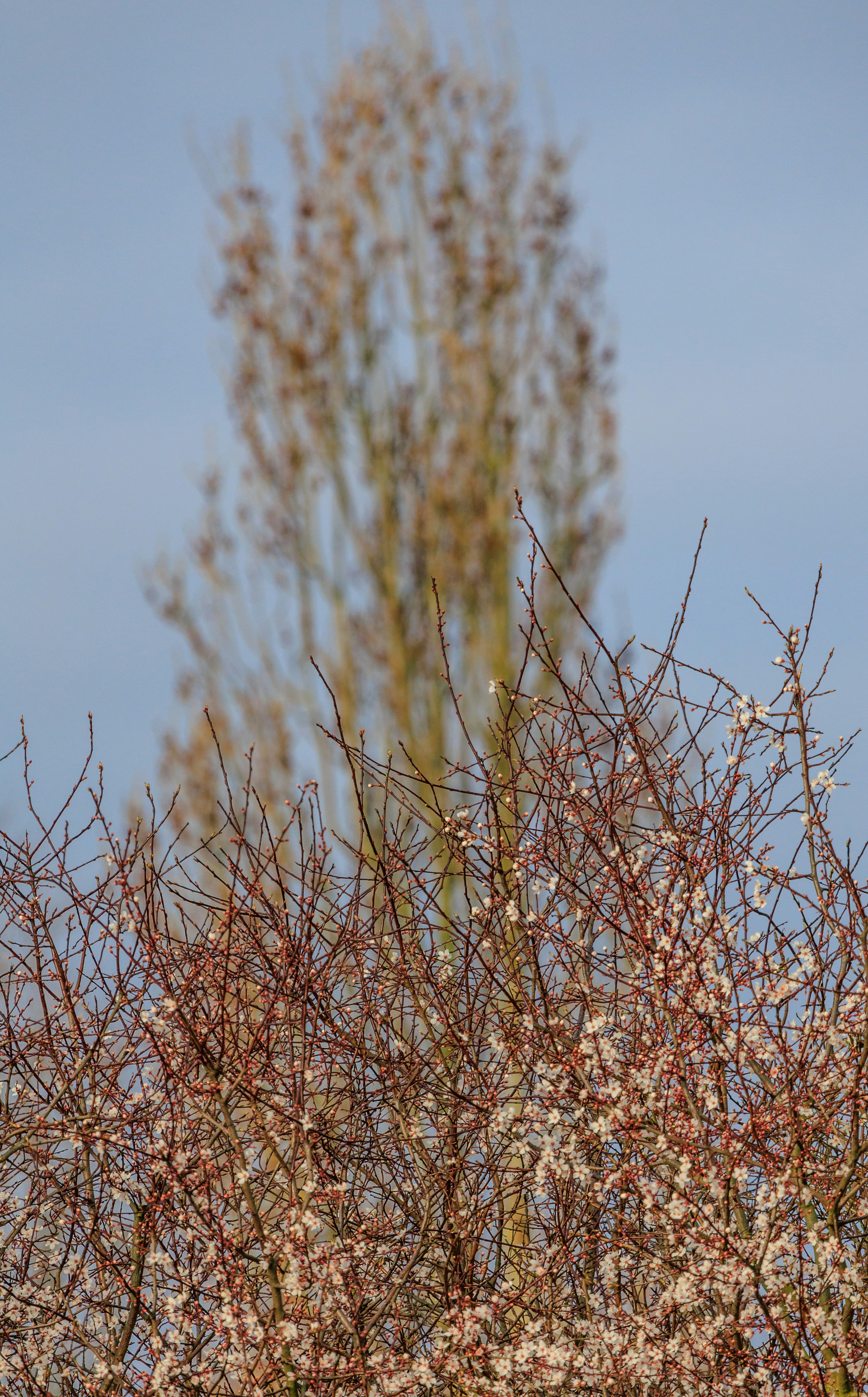 Photo by grievek1610begur