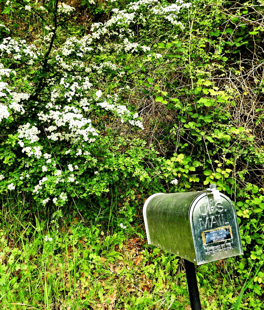 a mailbox sitting in the middle of a lush green field