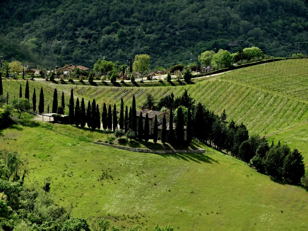 an aerial view of a lush green countryside