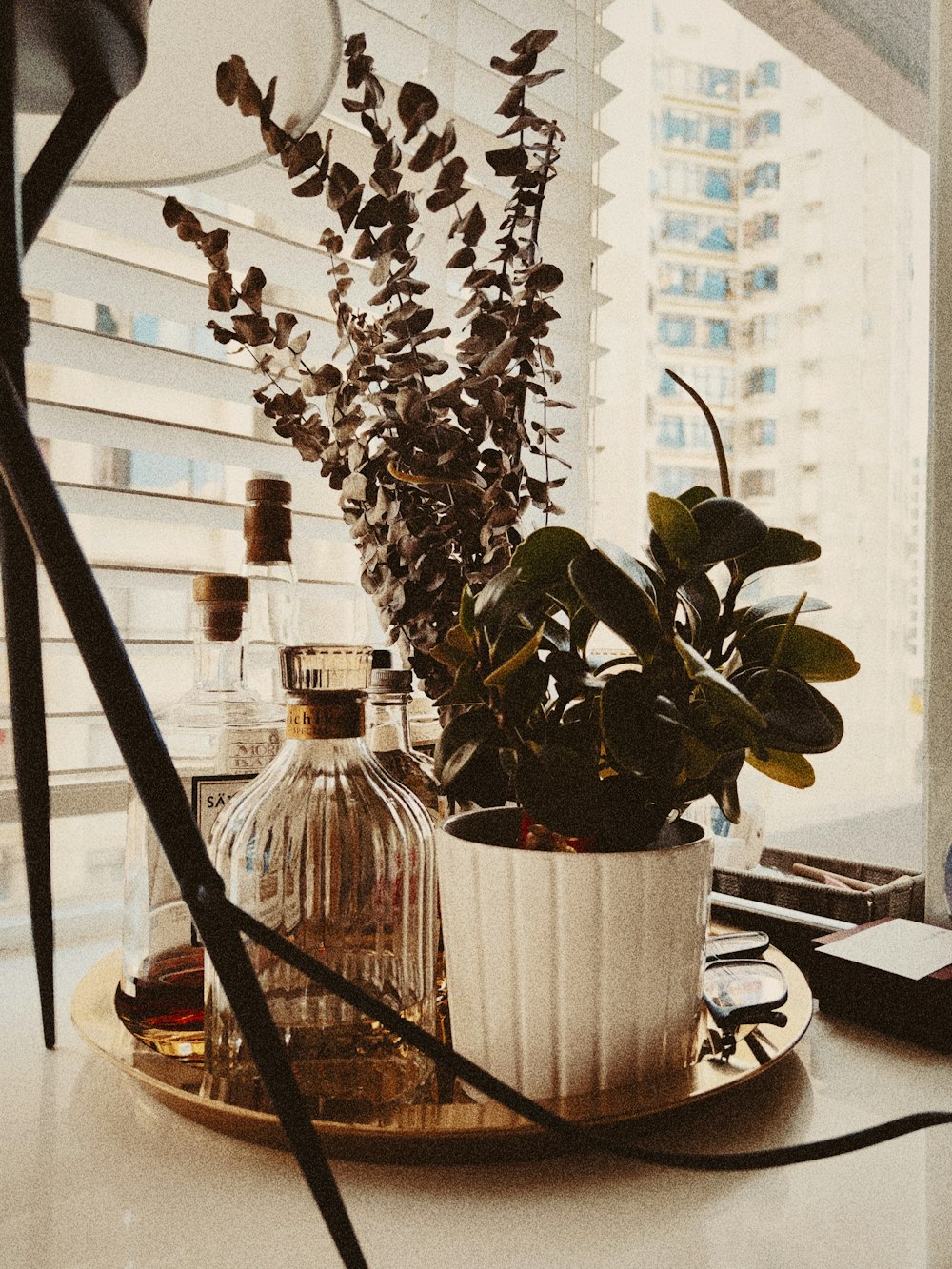 a potted plant sitting on top of a wooden tray