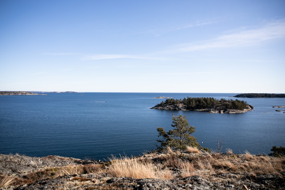 a body of water surrounded by land and trees