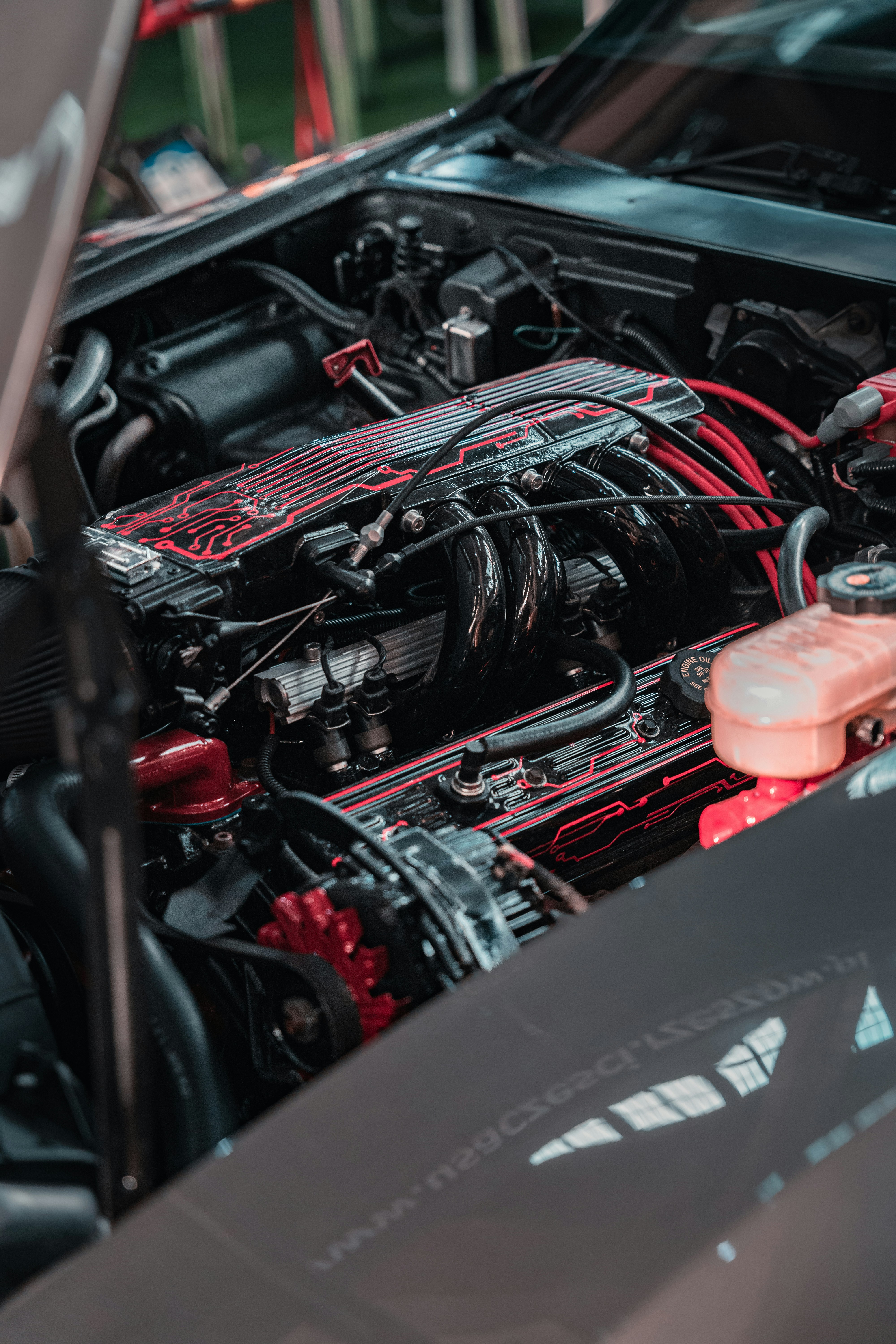 Photo by martin_blaszkiewicz