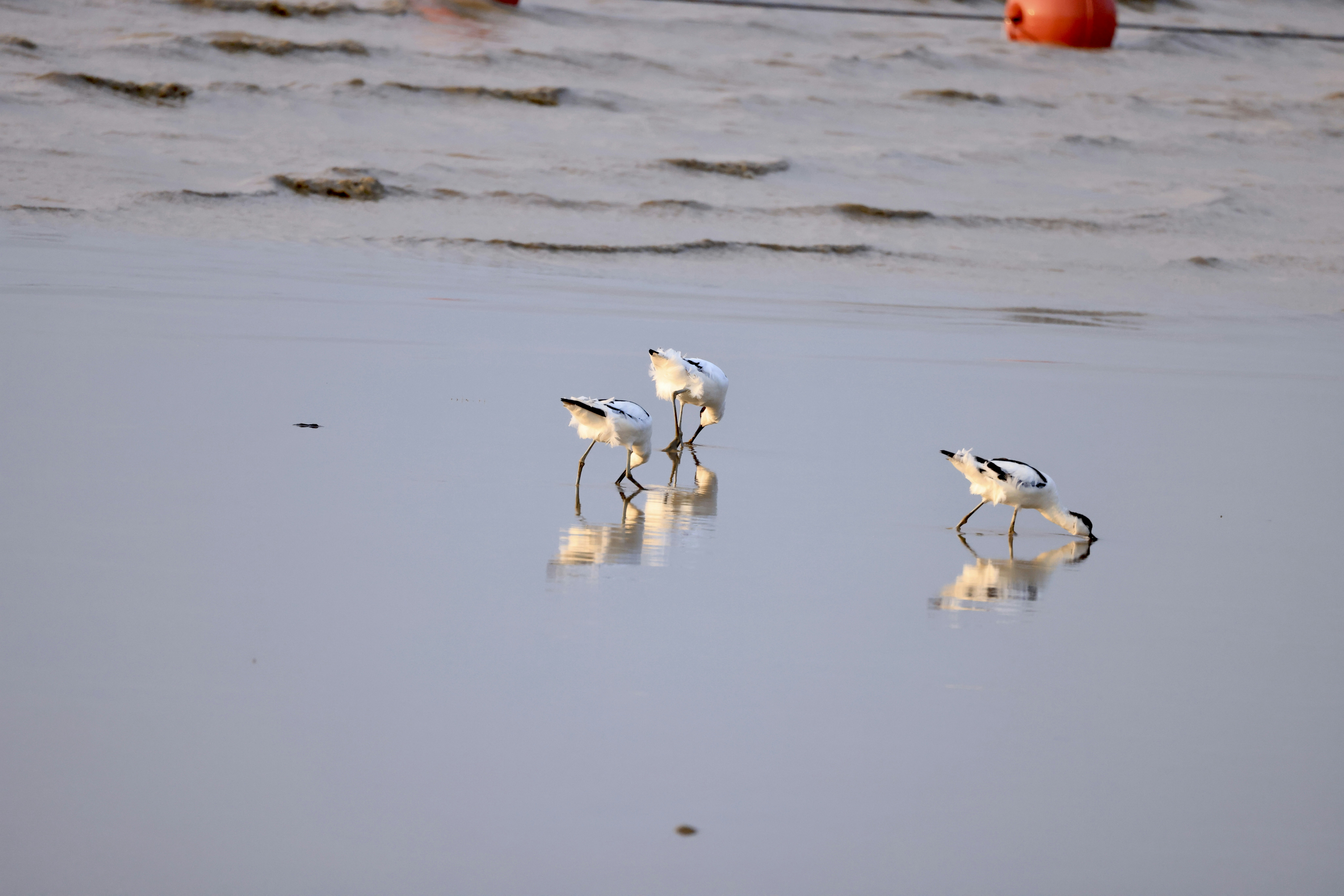 Photo by dickenslin76