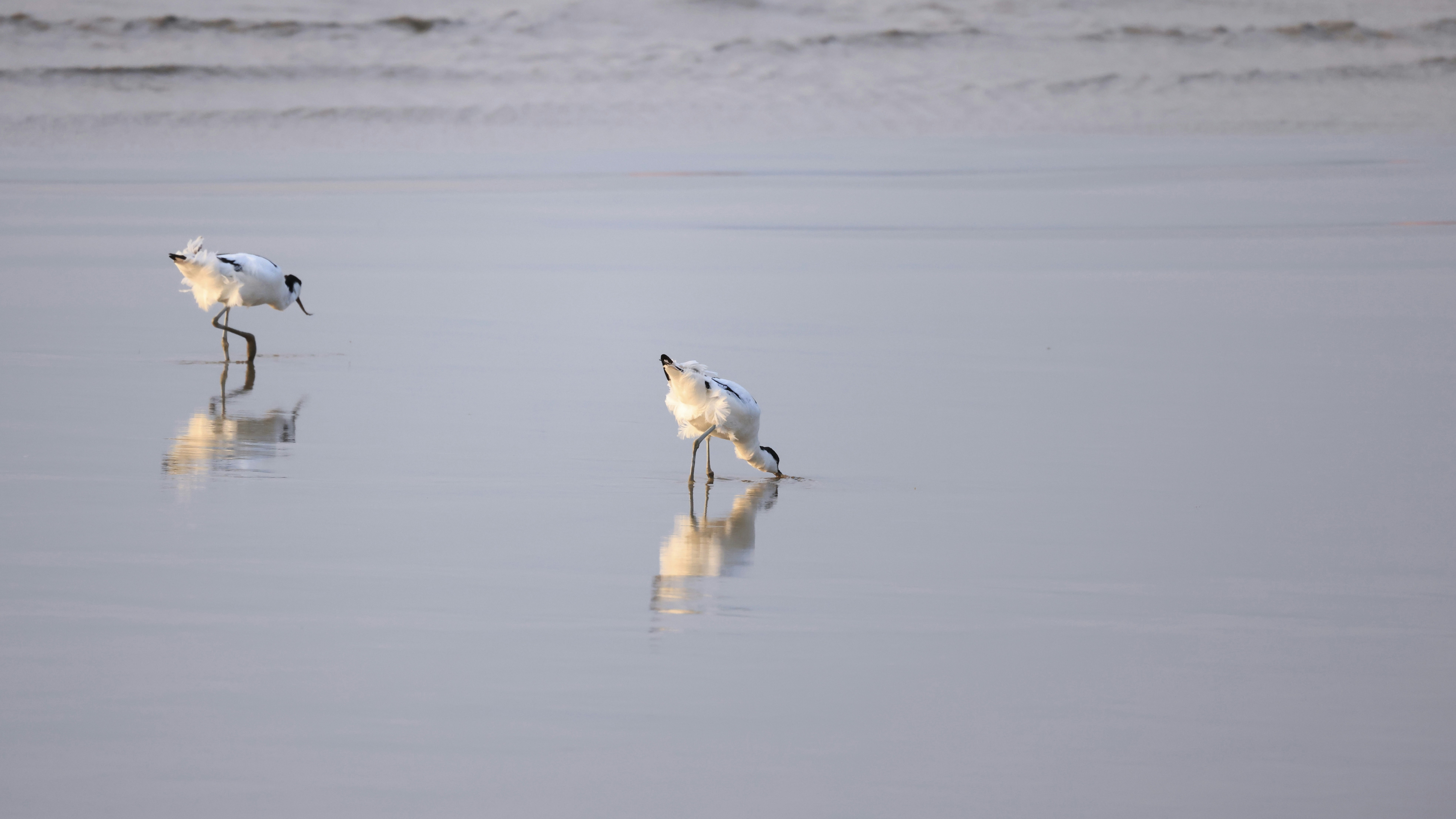 Photo by dickenslin76