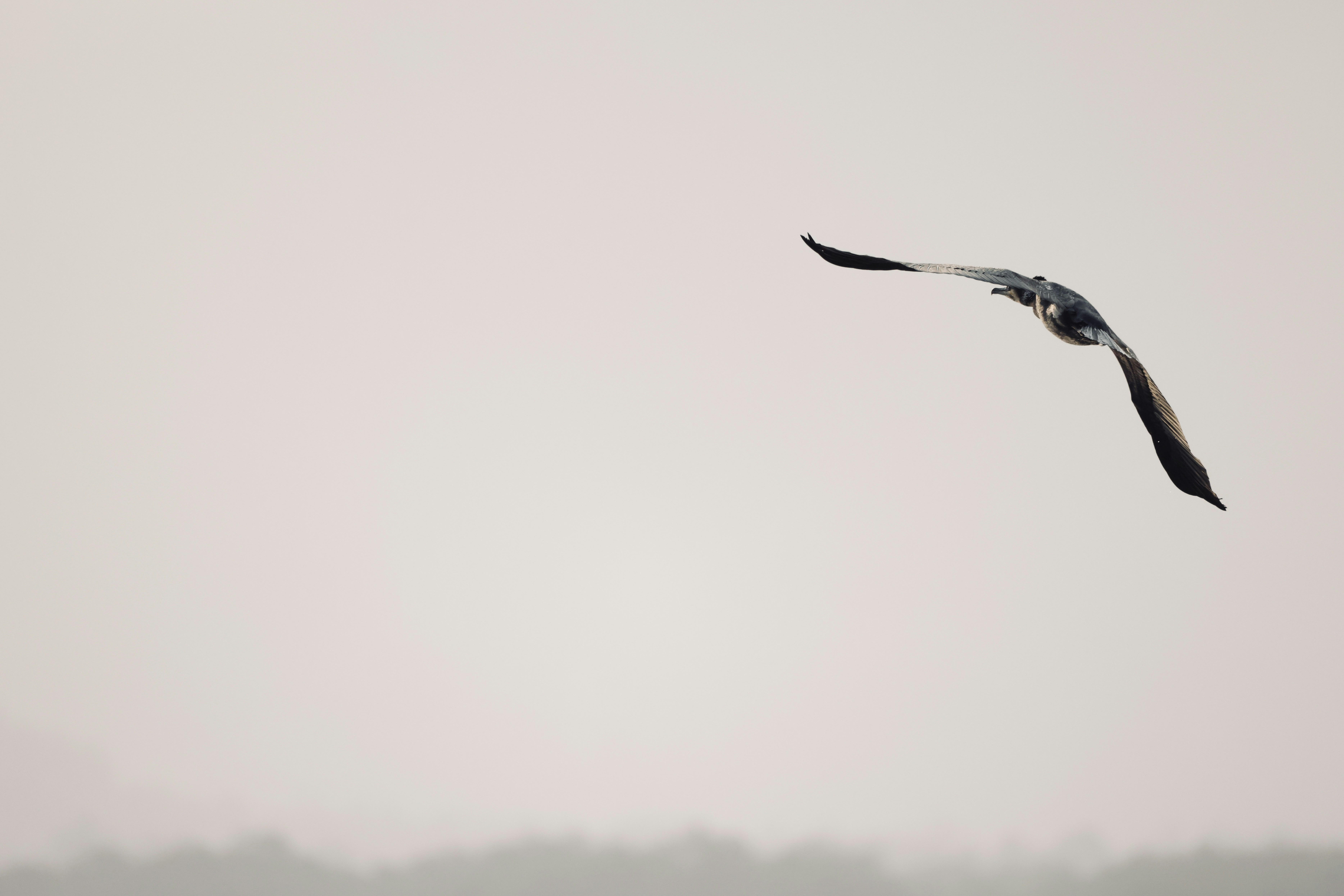 Photo by dickenslin76