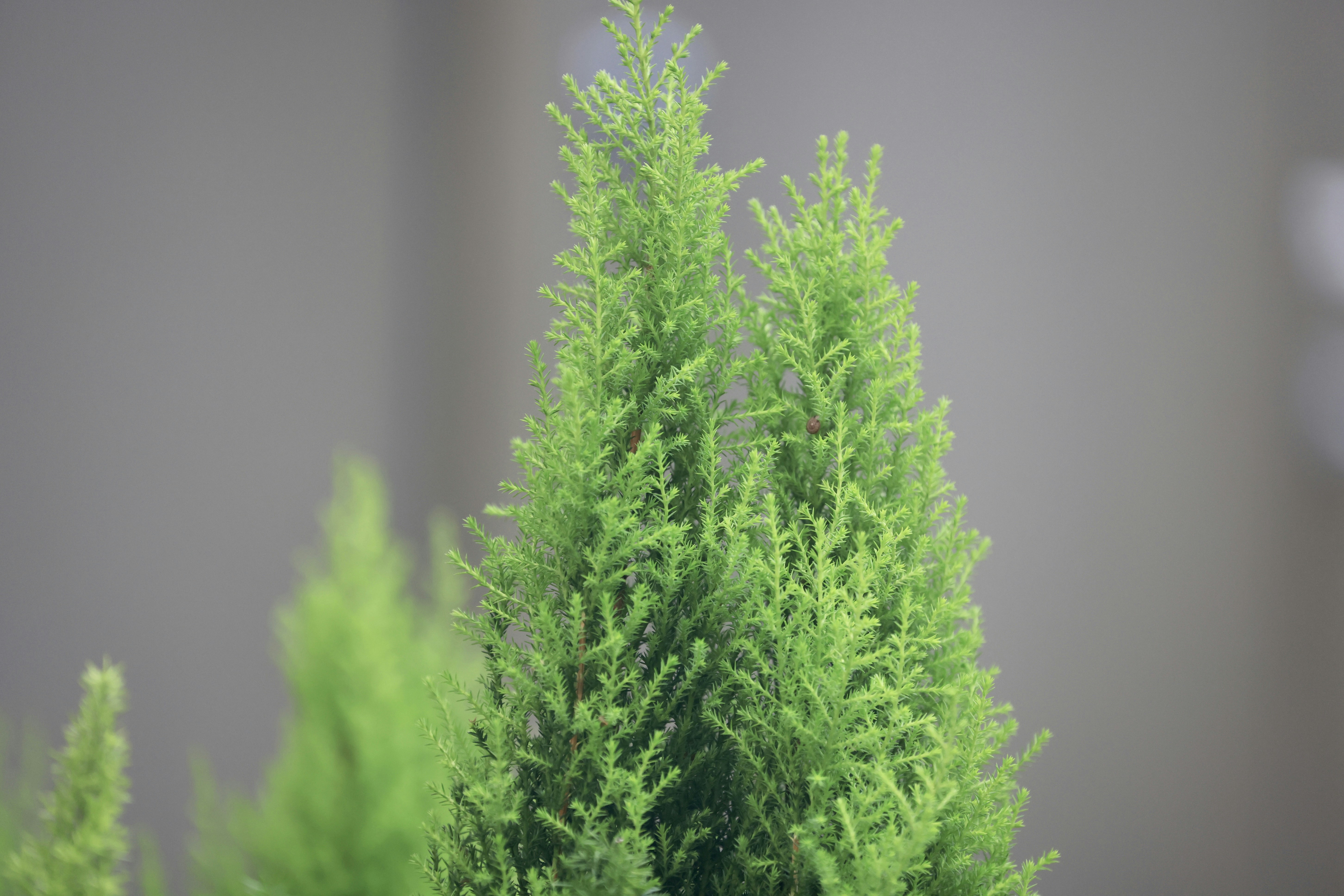 Photo by dickenslin76