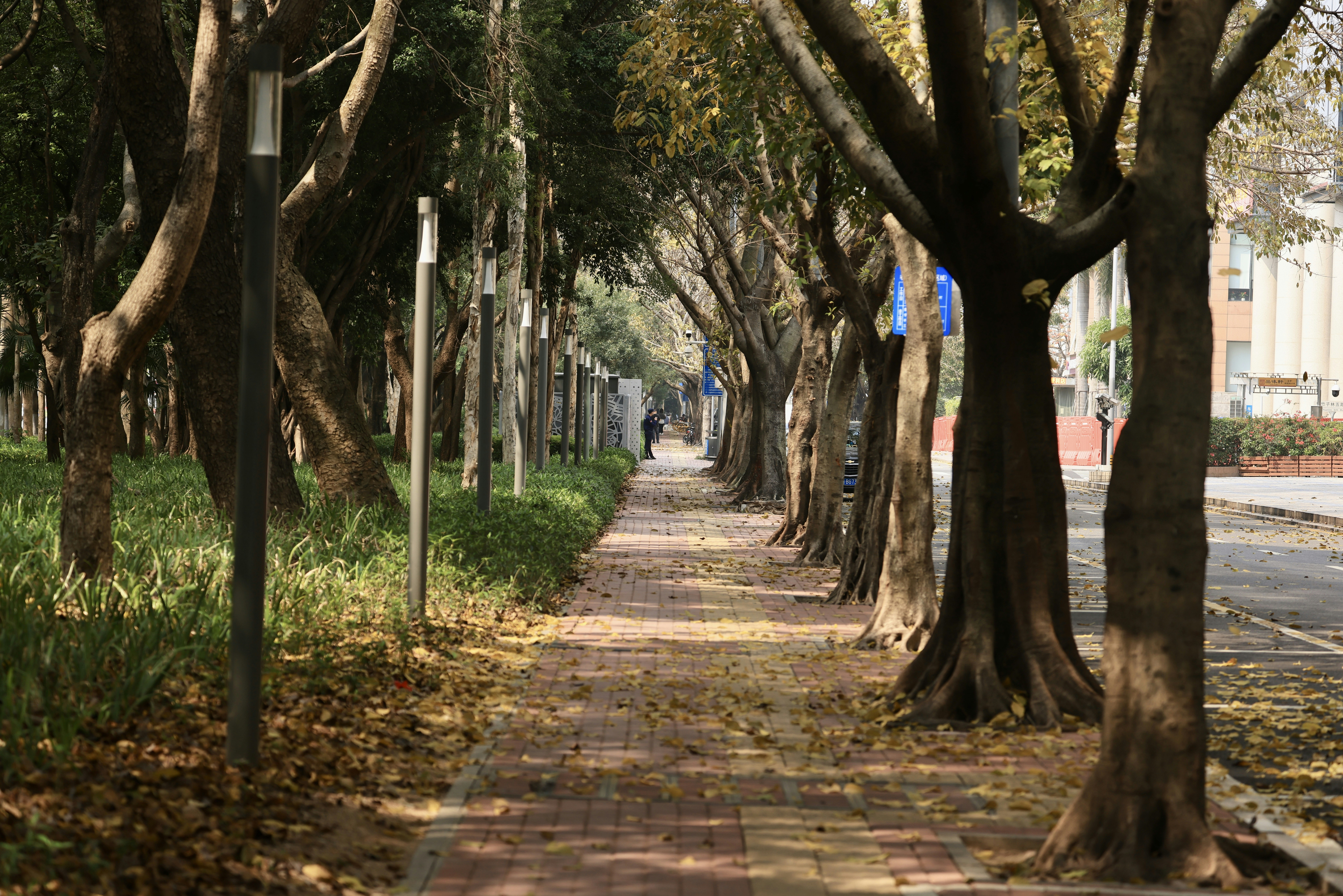 Photo by dickenslin76