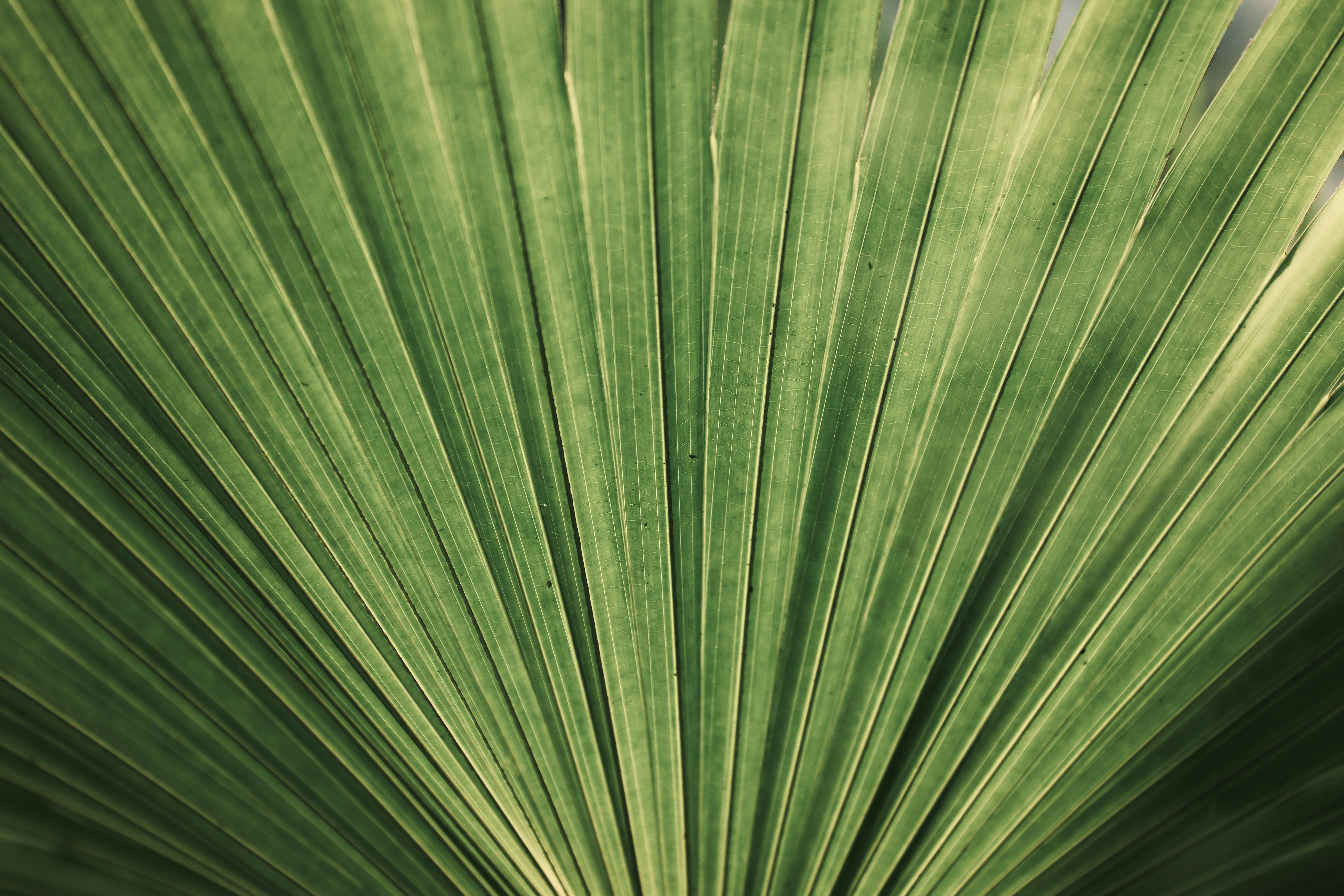 Photo by dickenslin76