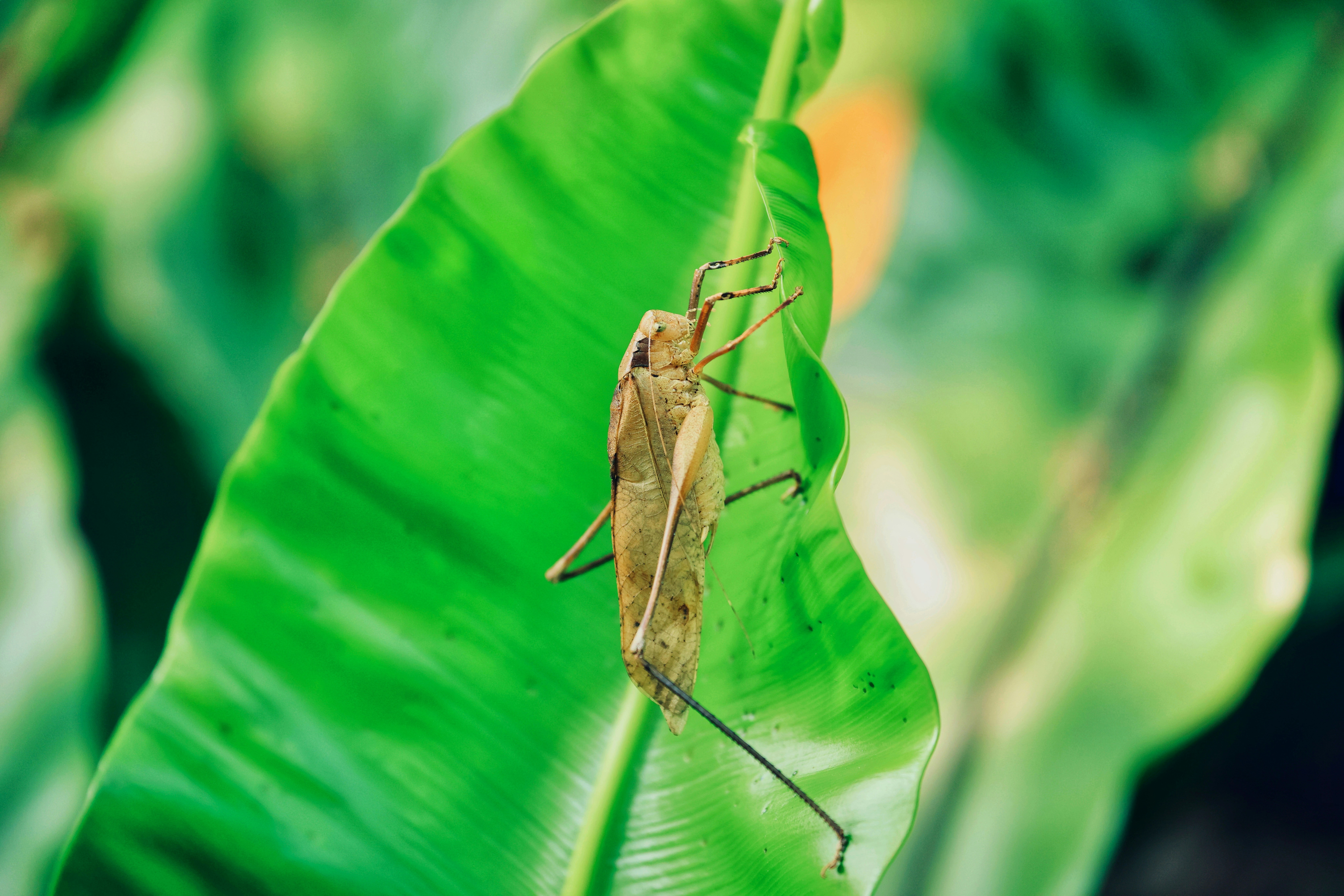 Photo by dickenslin76