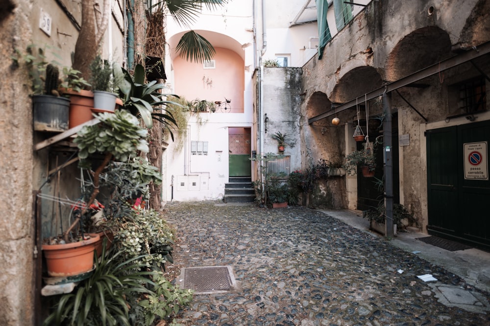 a narrow alleyway with potted plants on either side