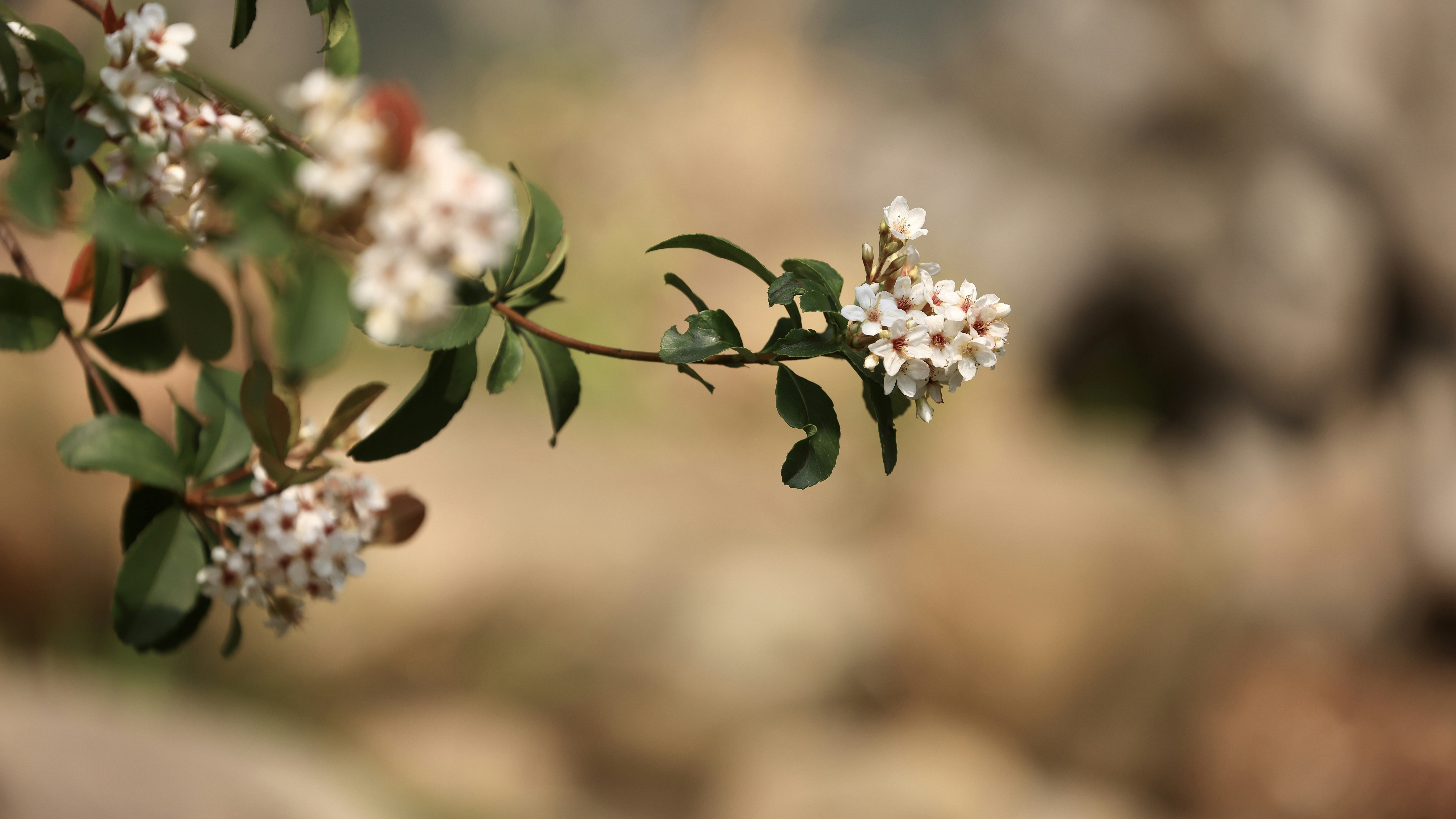 Photo by dickenslin76