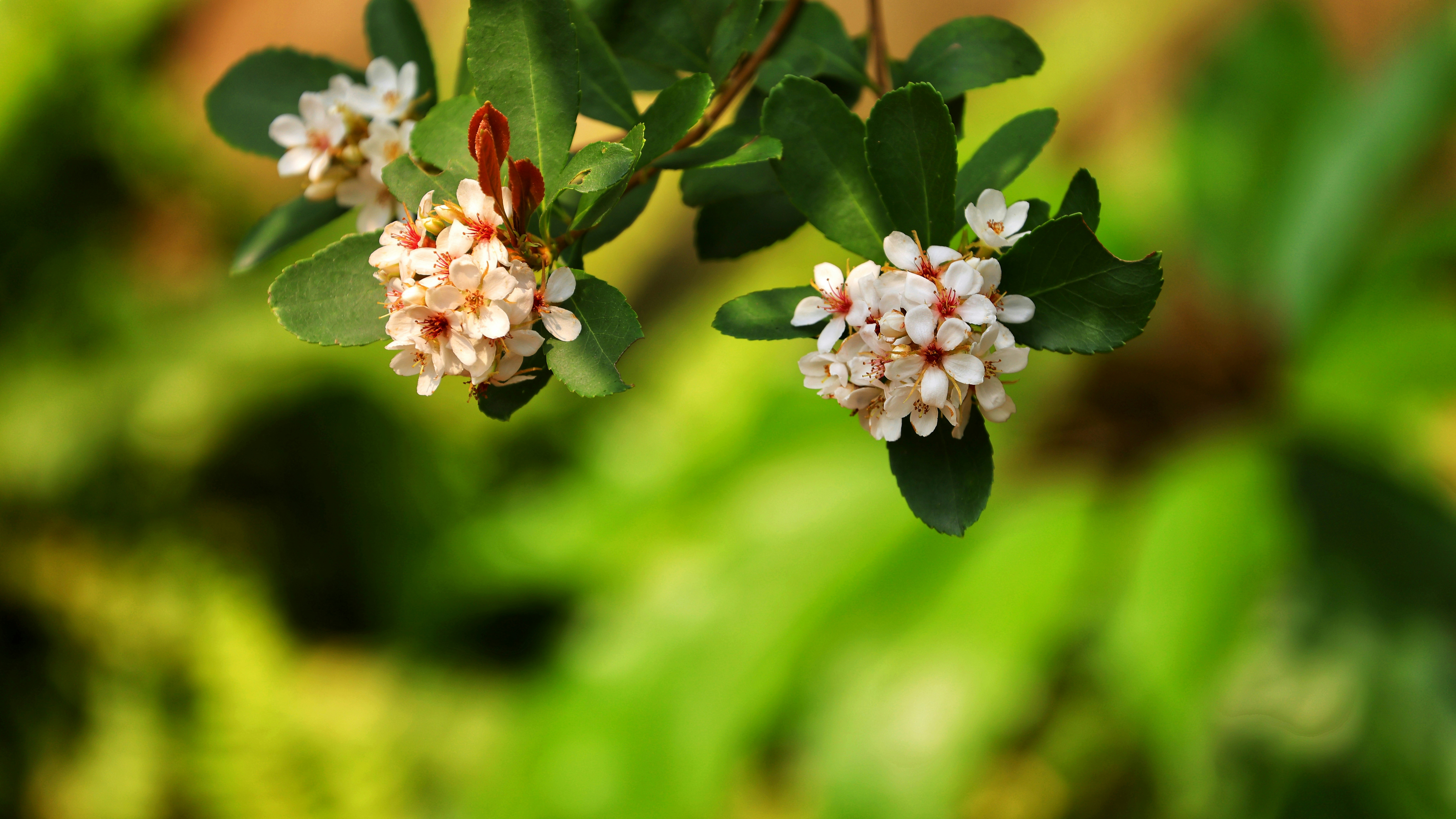 Photo by dickenslin76