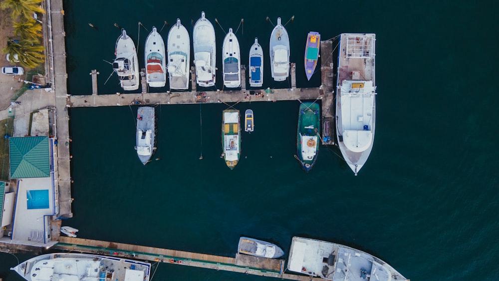 a group of boats docked at a dock