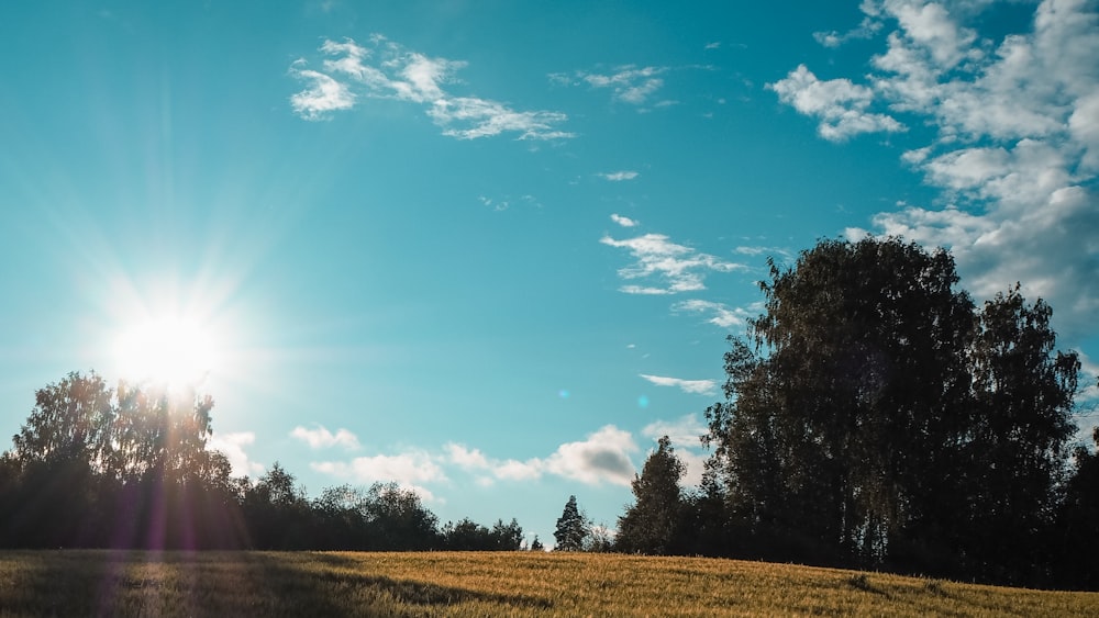 the sun shines brightly over a grassy field