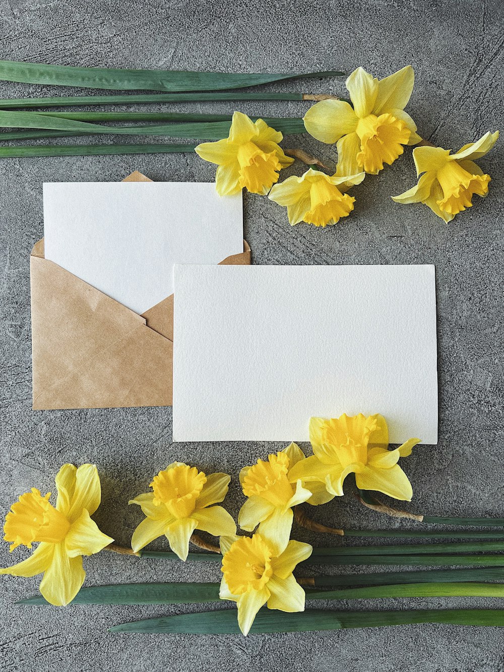 narcisos amarillos y una carta sobre una mesa