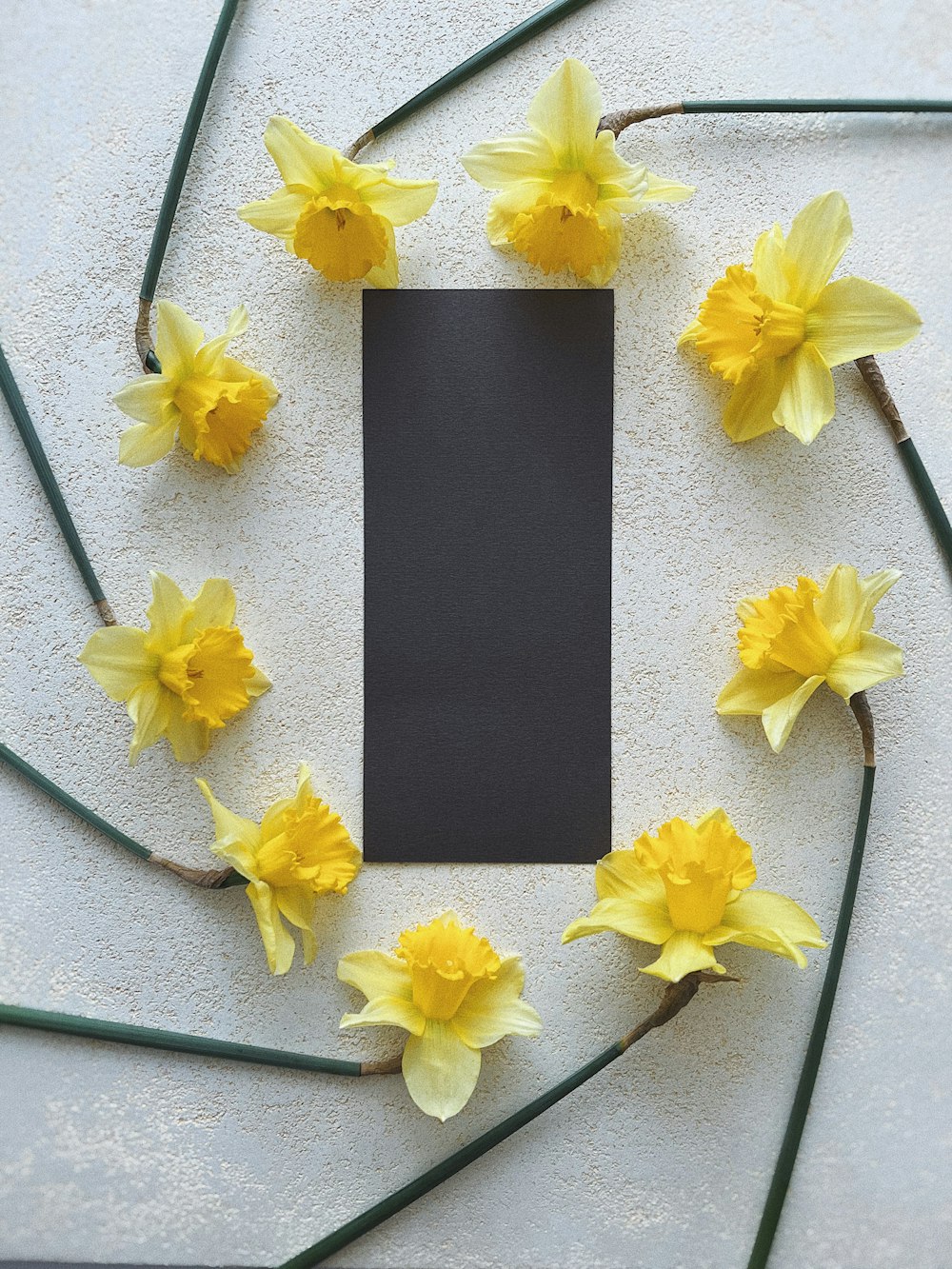 a picture frame surrounded by yellow daffodils