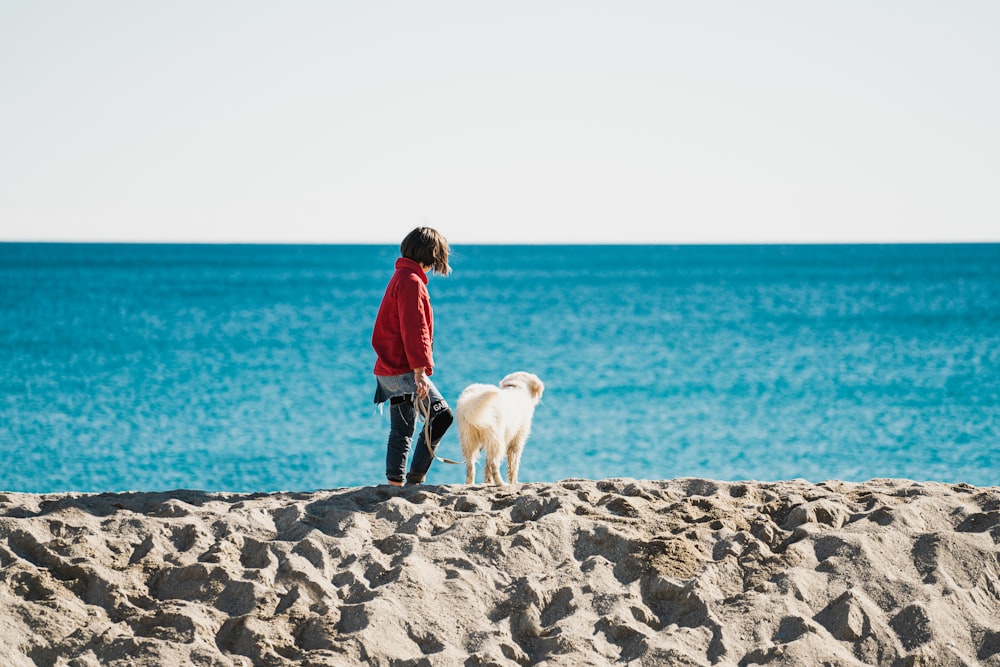 a person standing on a beach with a dog