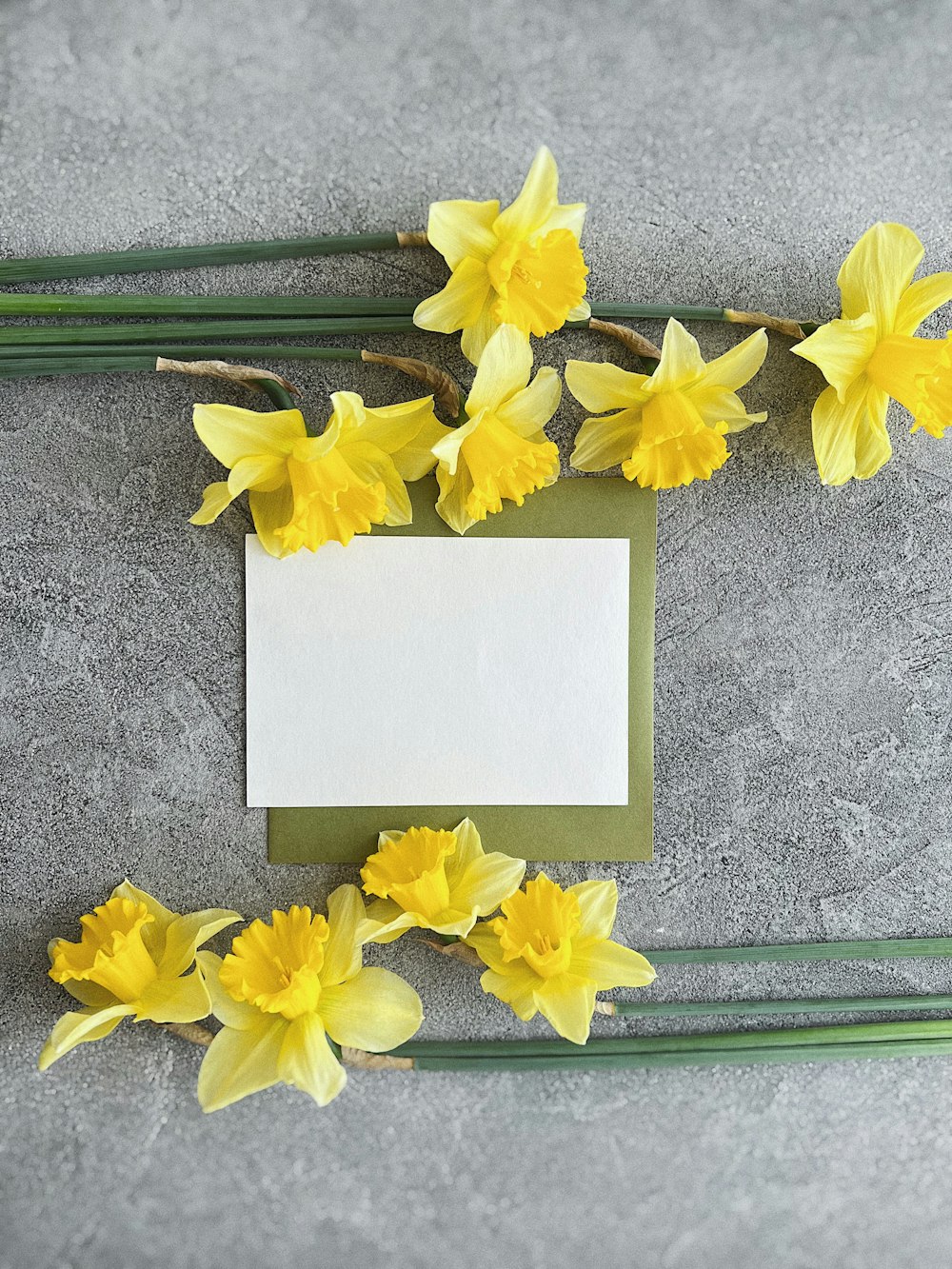 daffodils and a card on a gray surface
