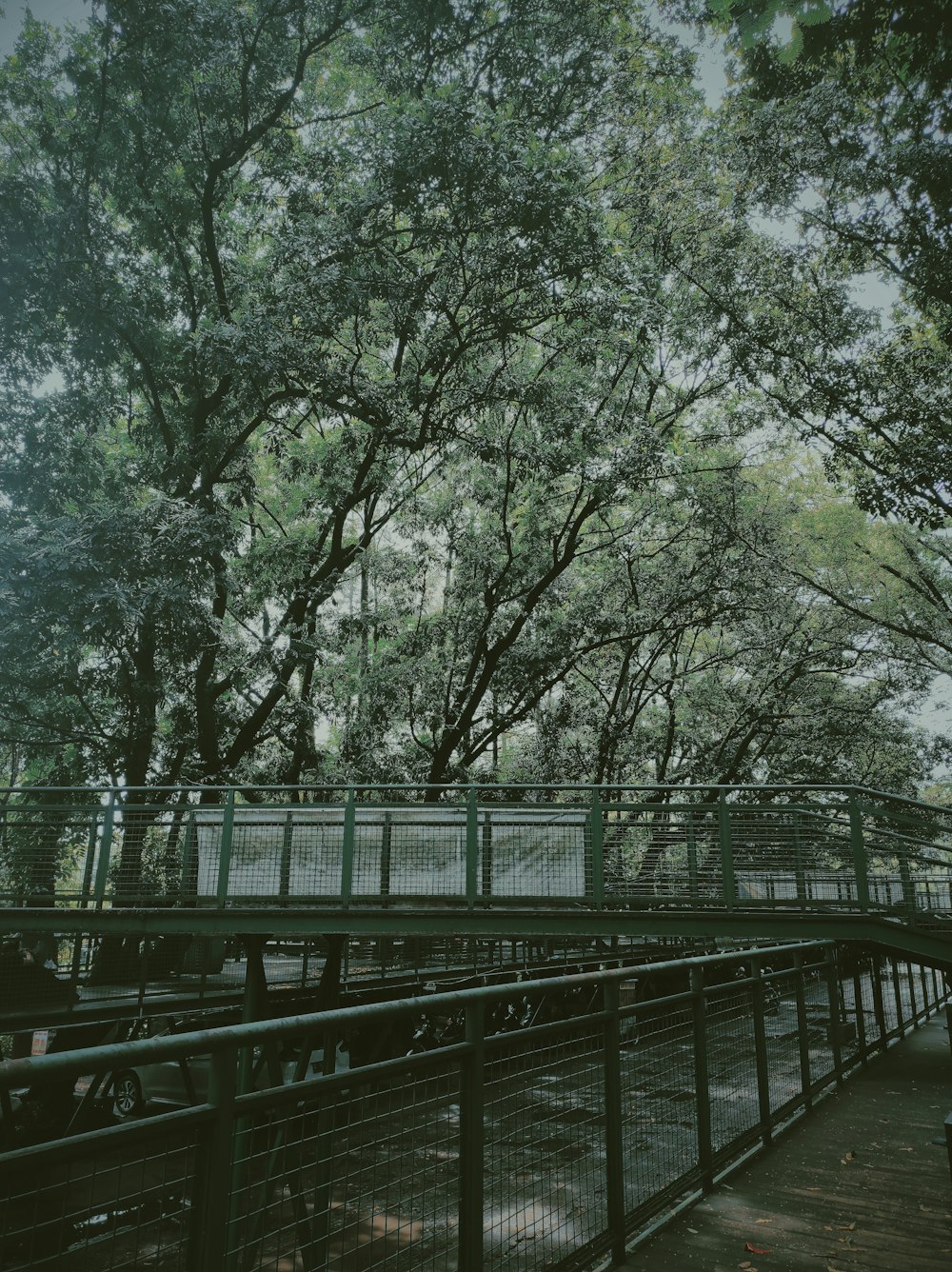 a bridge that is surrounded by trees in a park