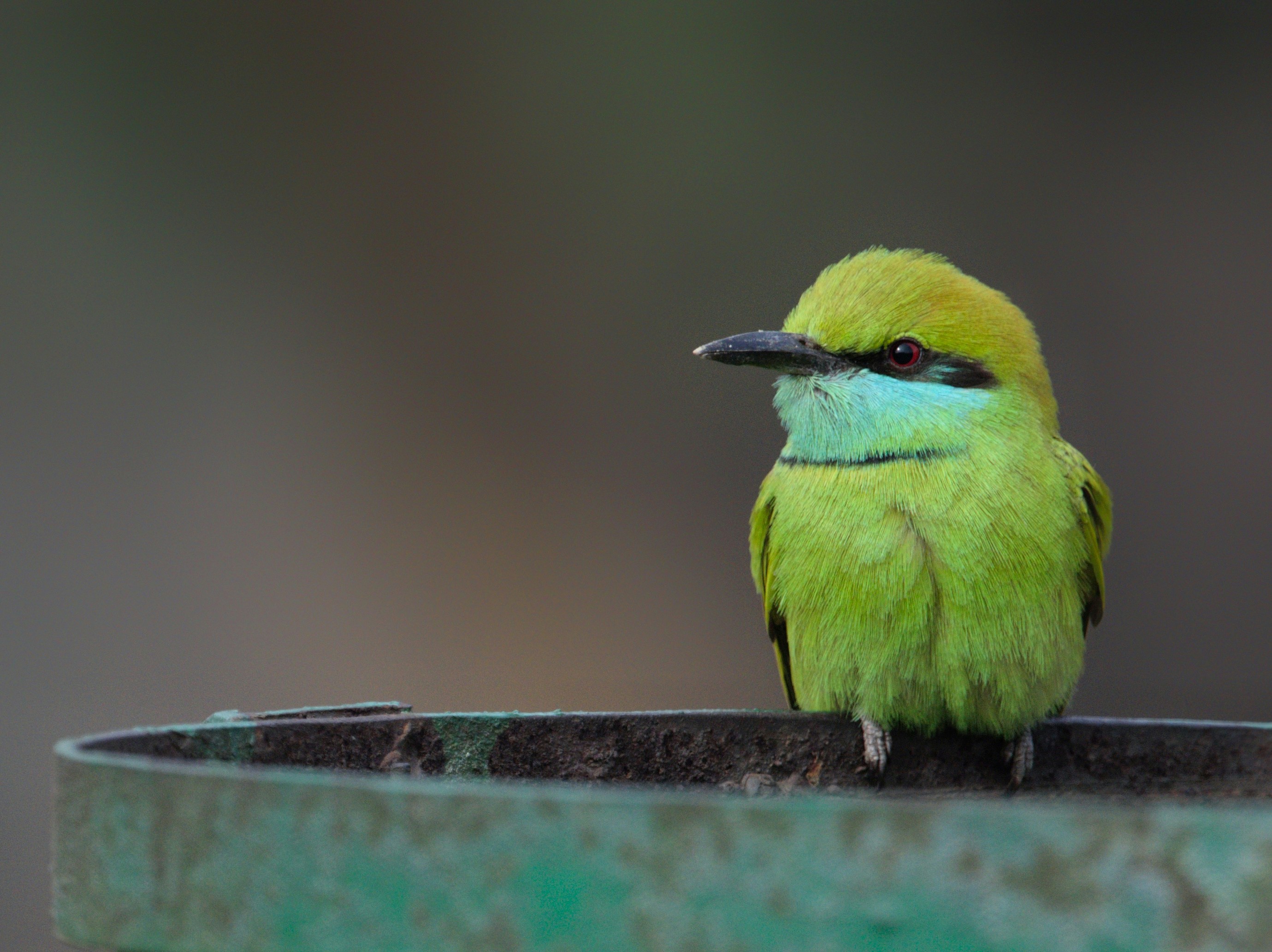 Photo by prashantsaini