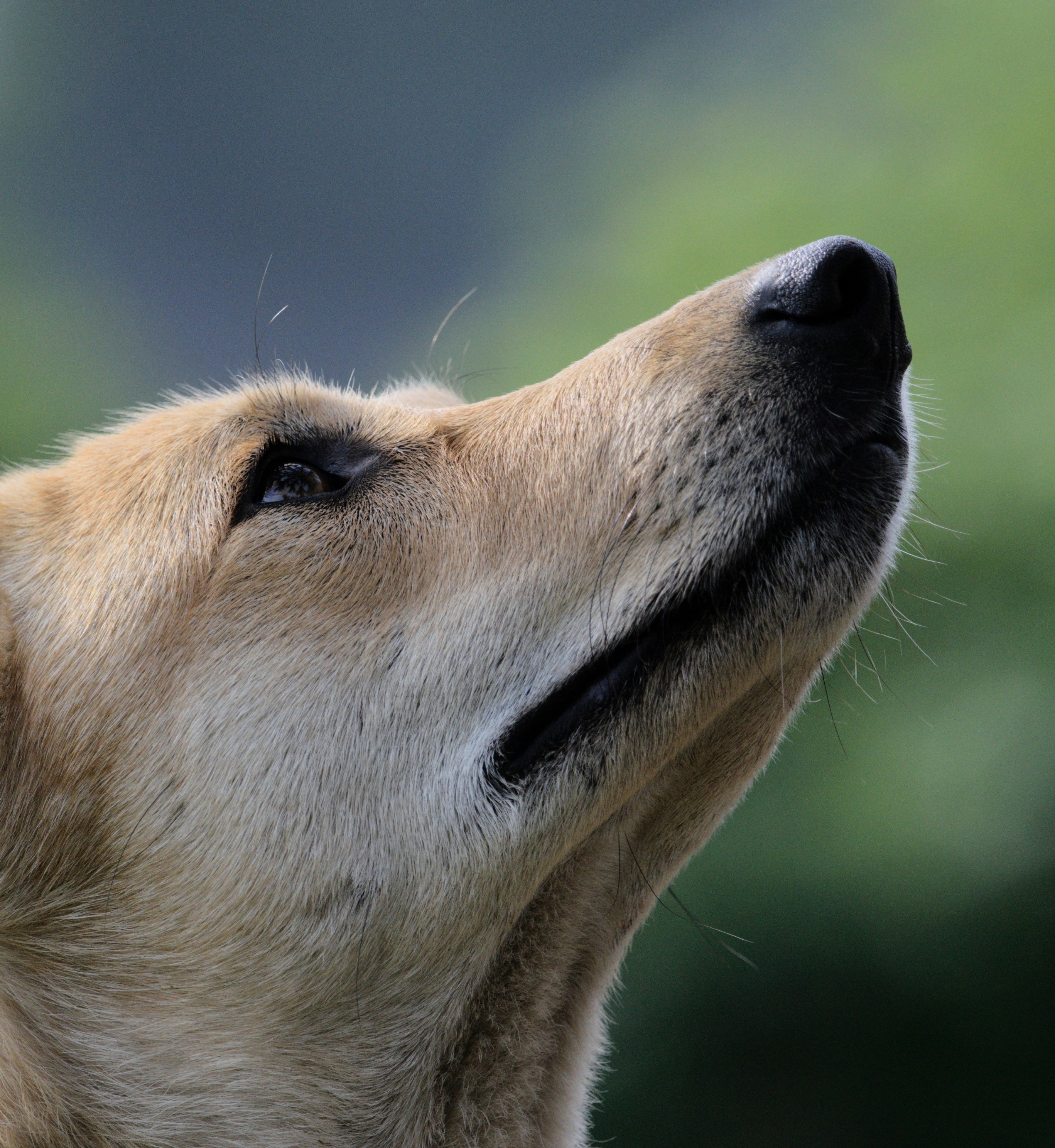 Photo by prashantsaini