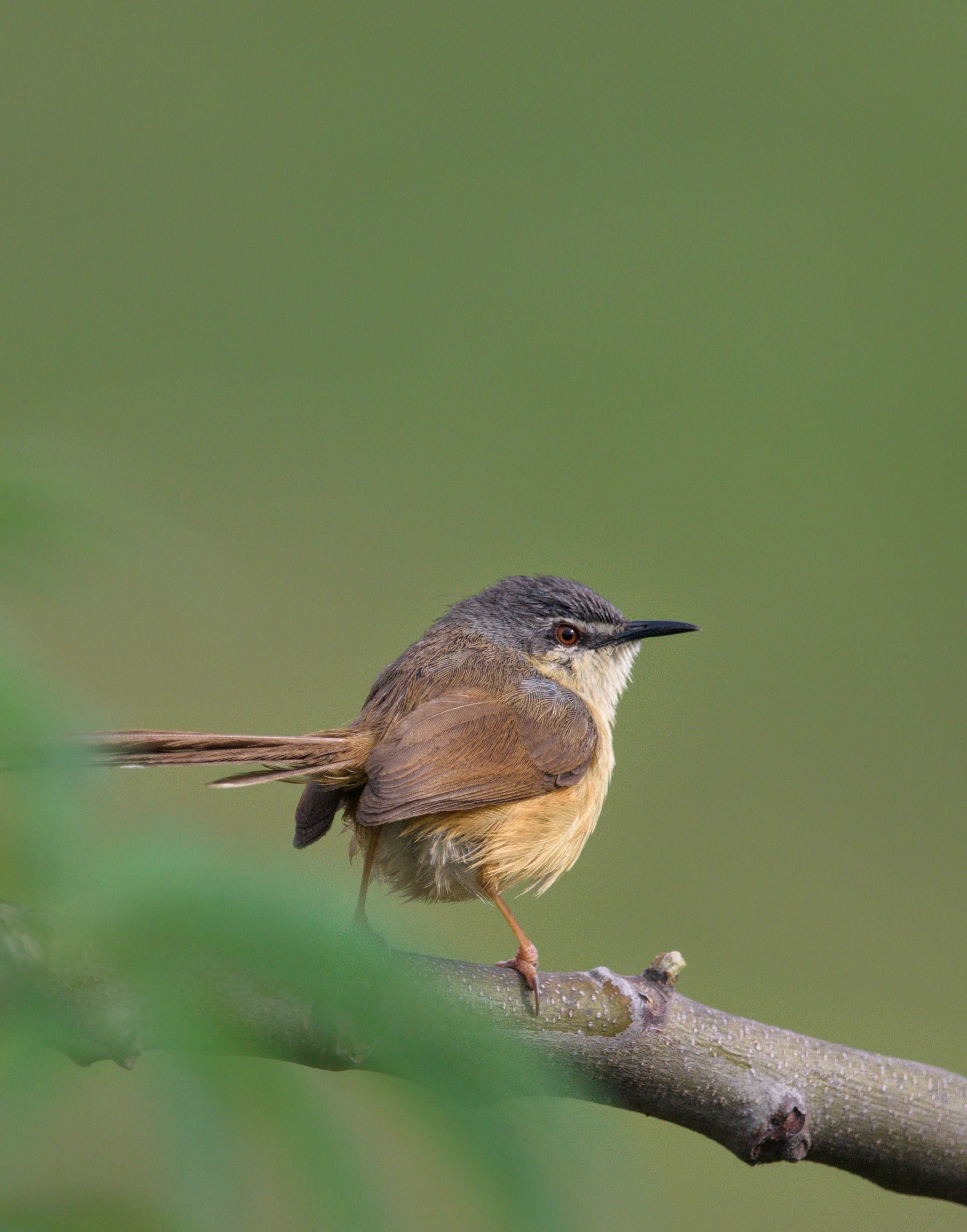 Photo by prashantsaini