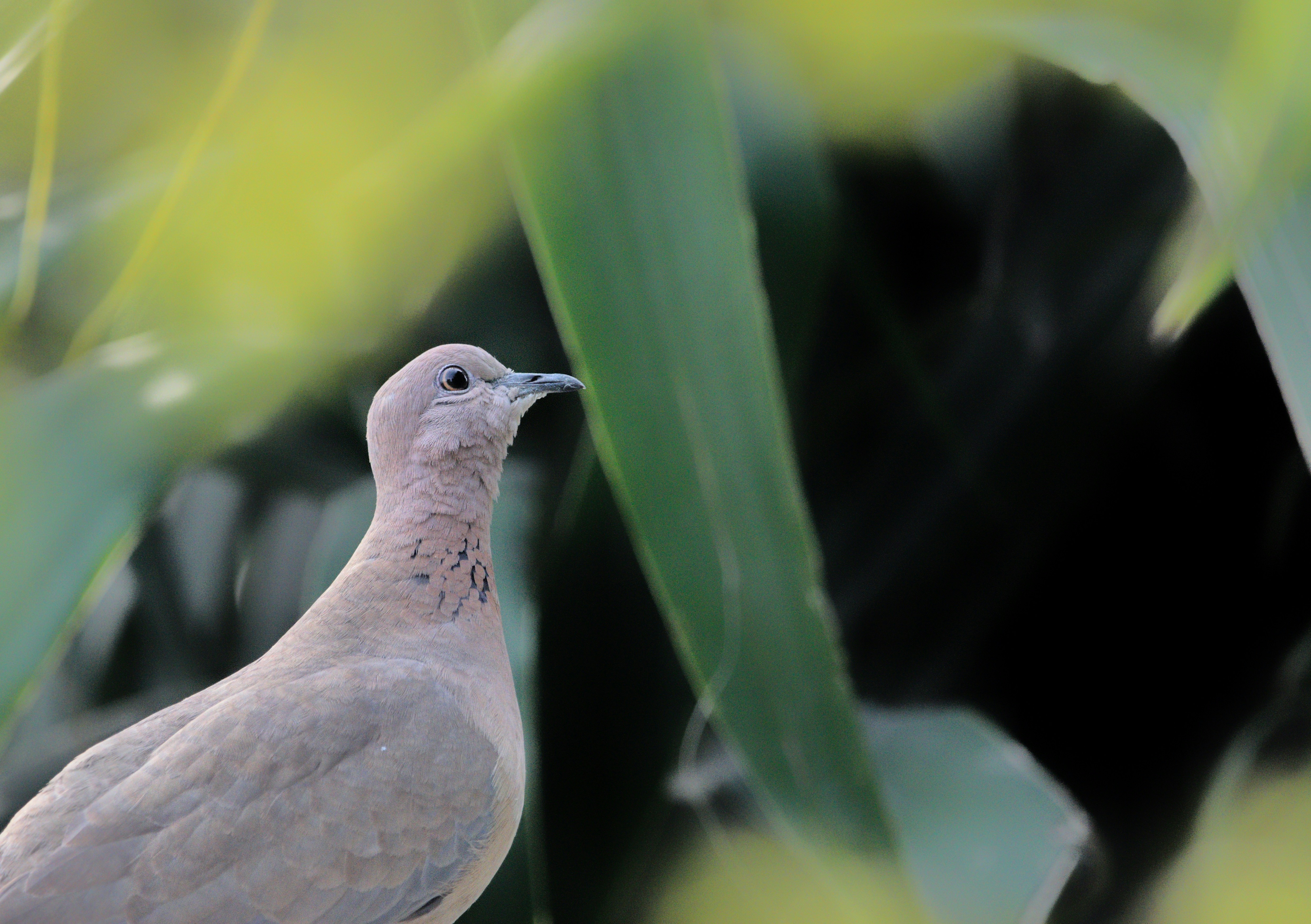 Photo by prashantsaini