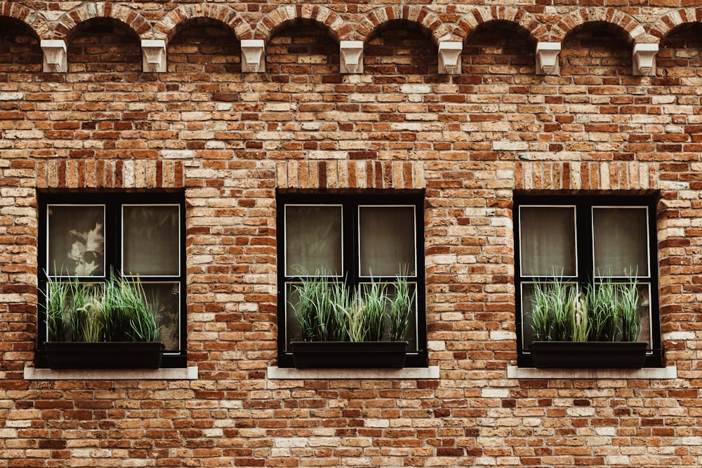 a brick building with three windows with plants in them