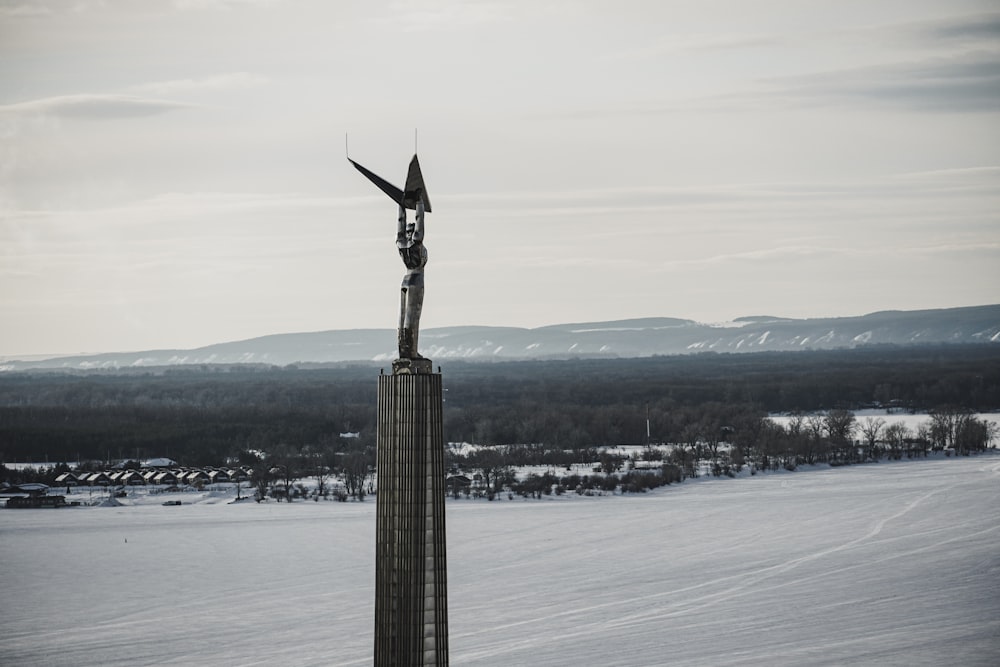 a tall pole with a bird on top of it