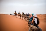 a group of people riding camels across a desert