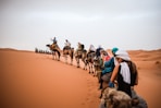 a group of people riding camels across a desert