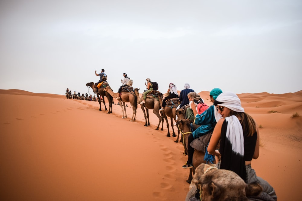 a group of people riding camels across a desert