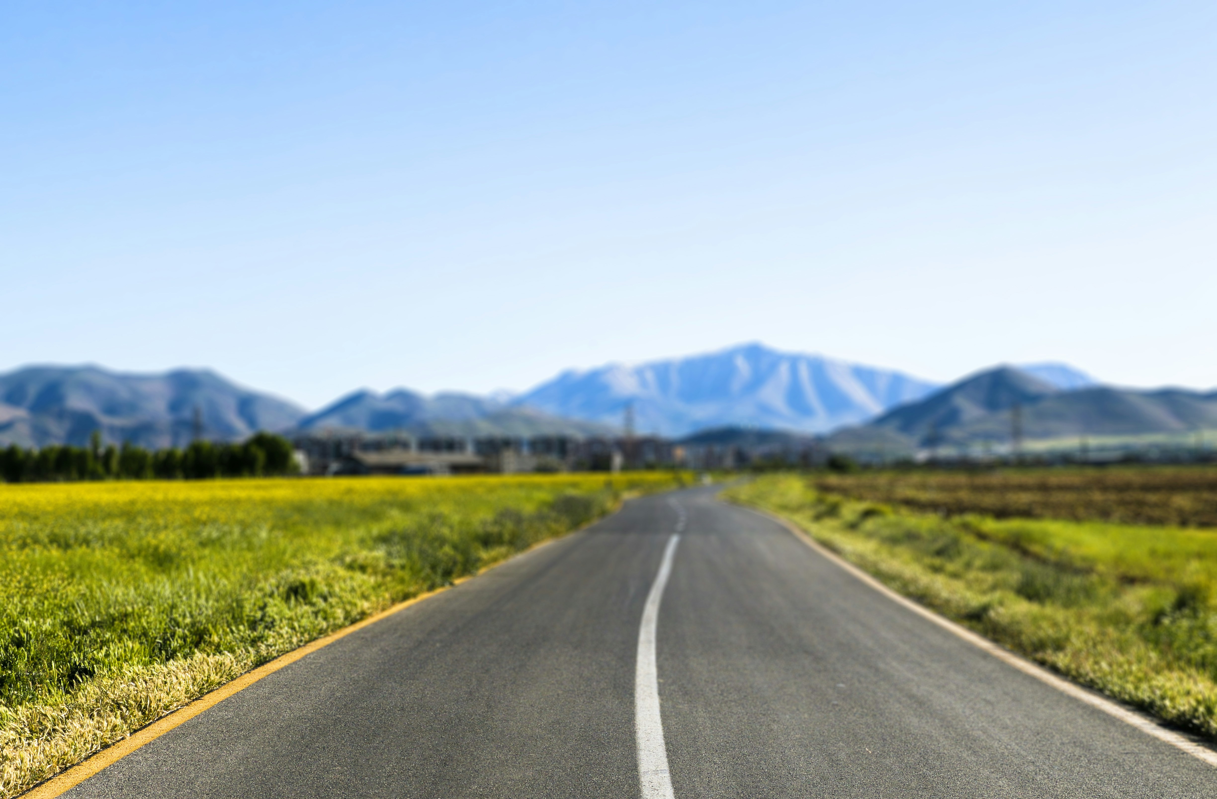 Photo by razipourjafari