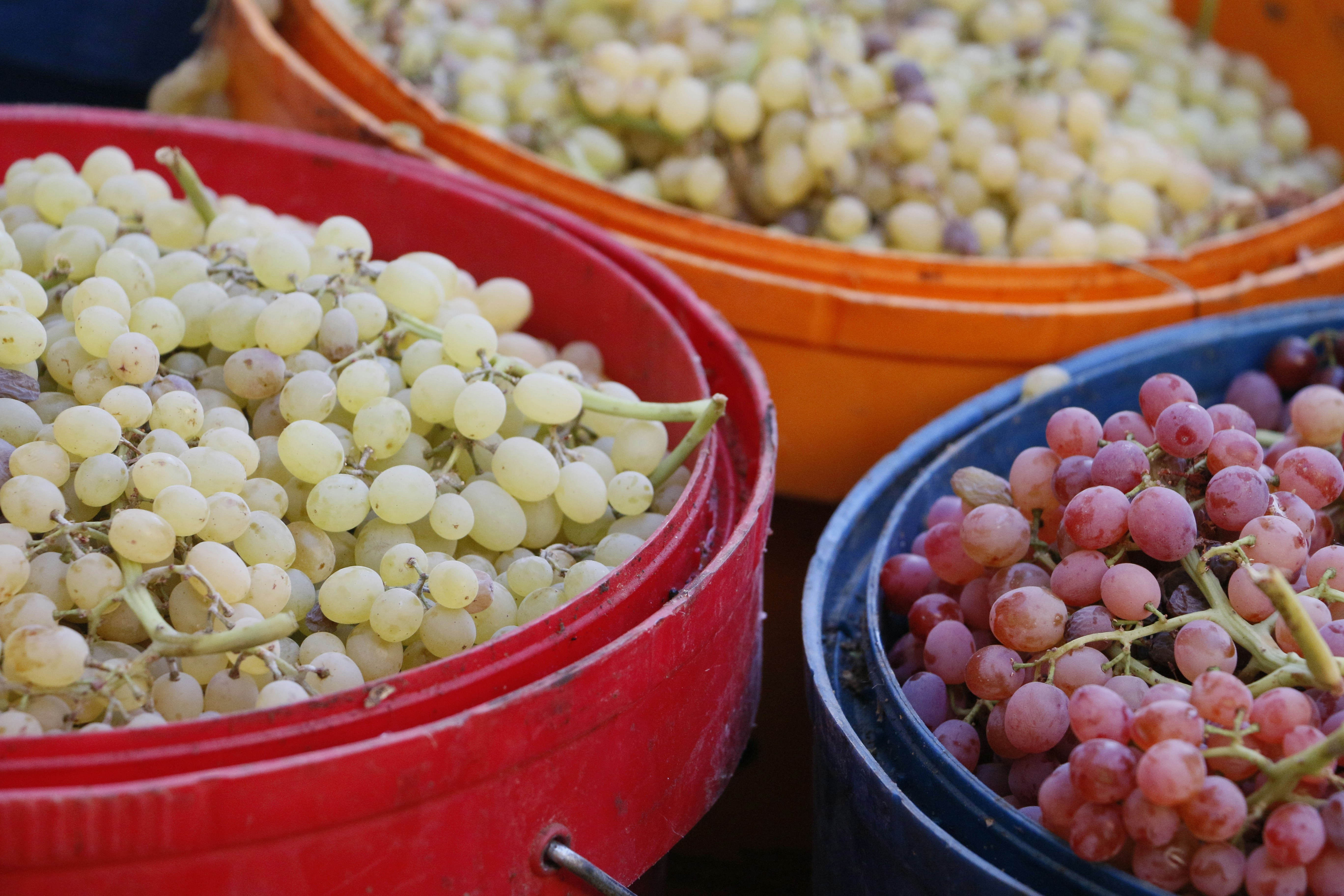 Photo by razipourjafari