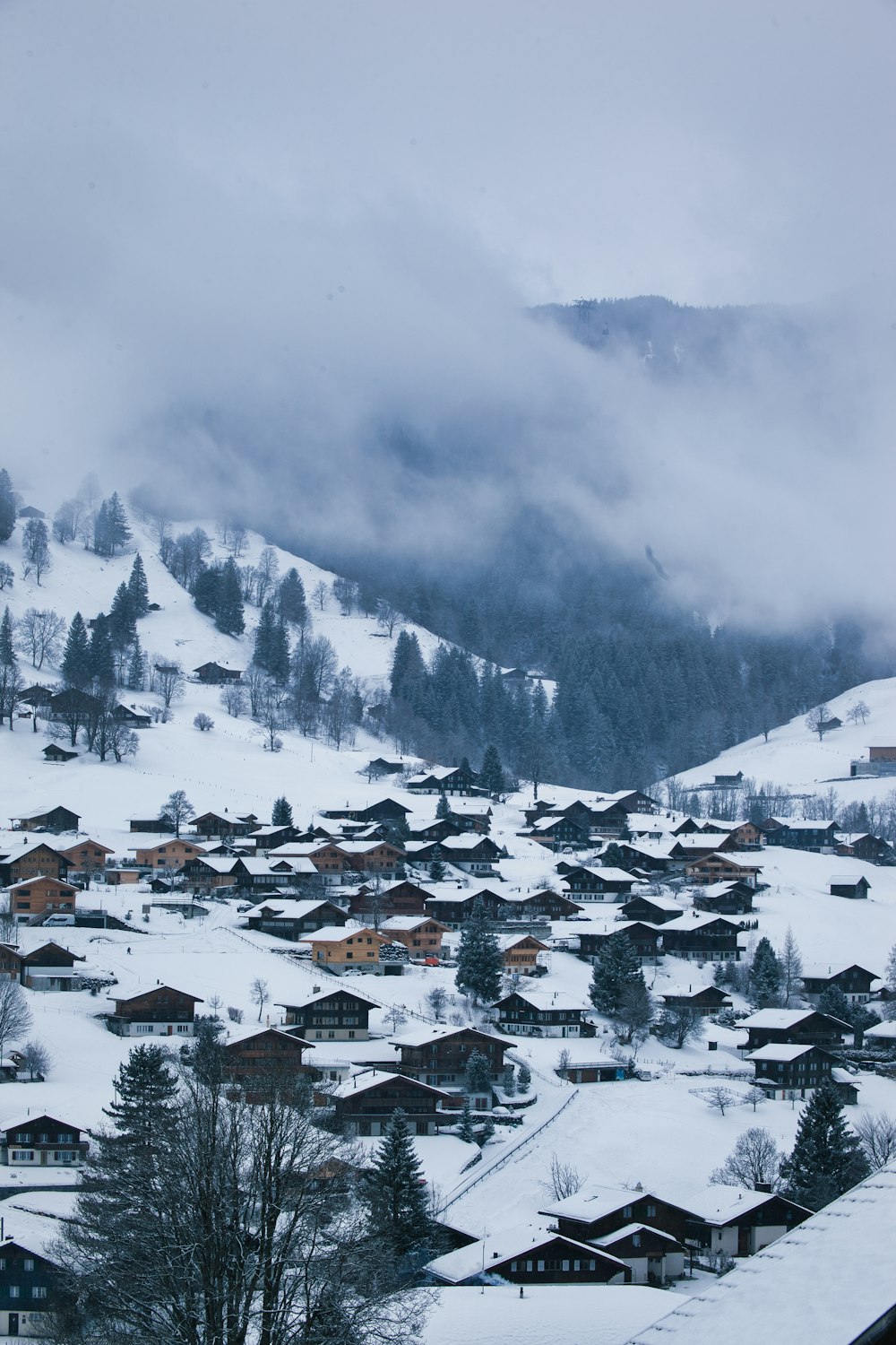 a snow covered mountain with a village in the foreground