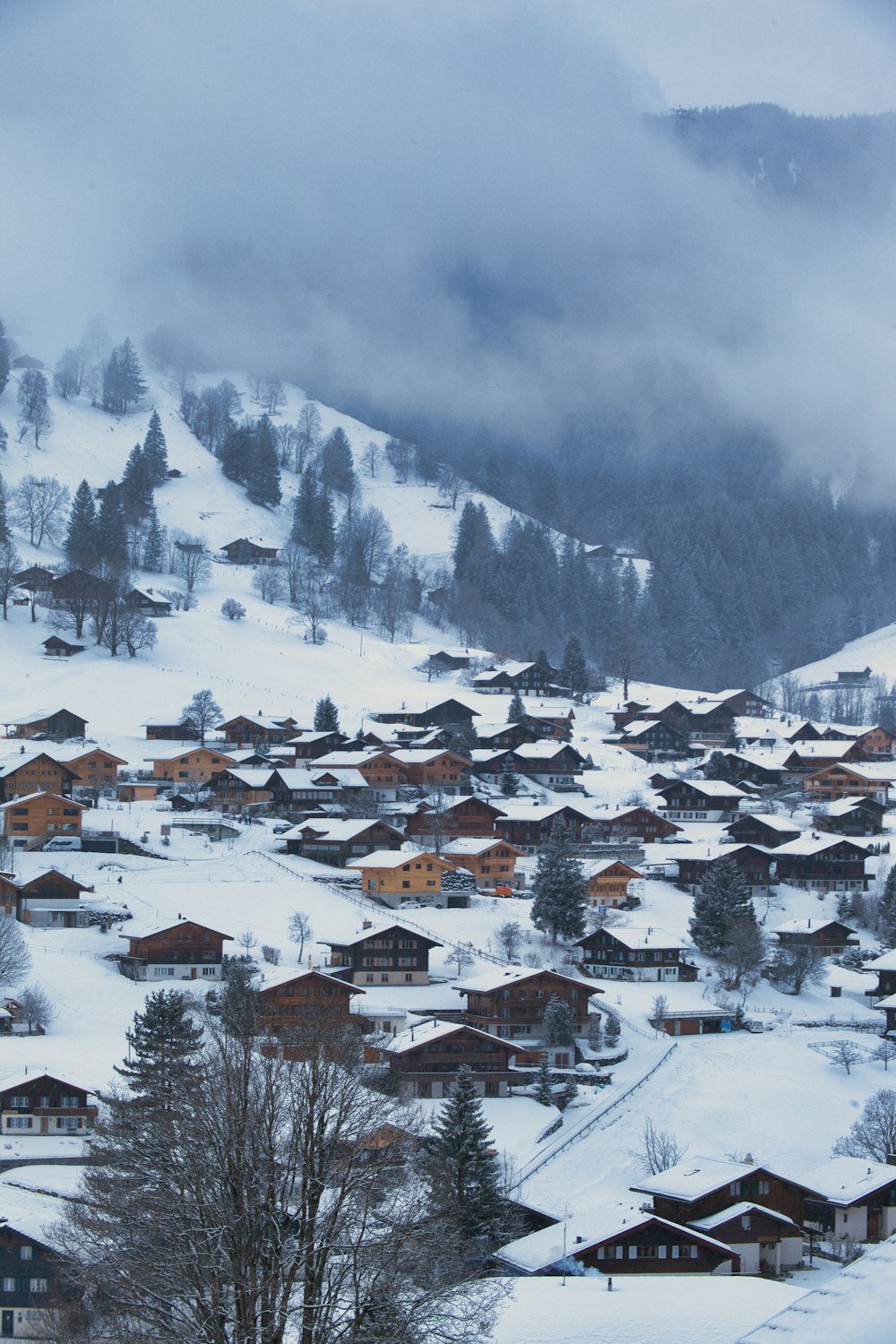 uma montanha coberta de neve com uma aldeia em primeiro plano